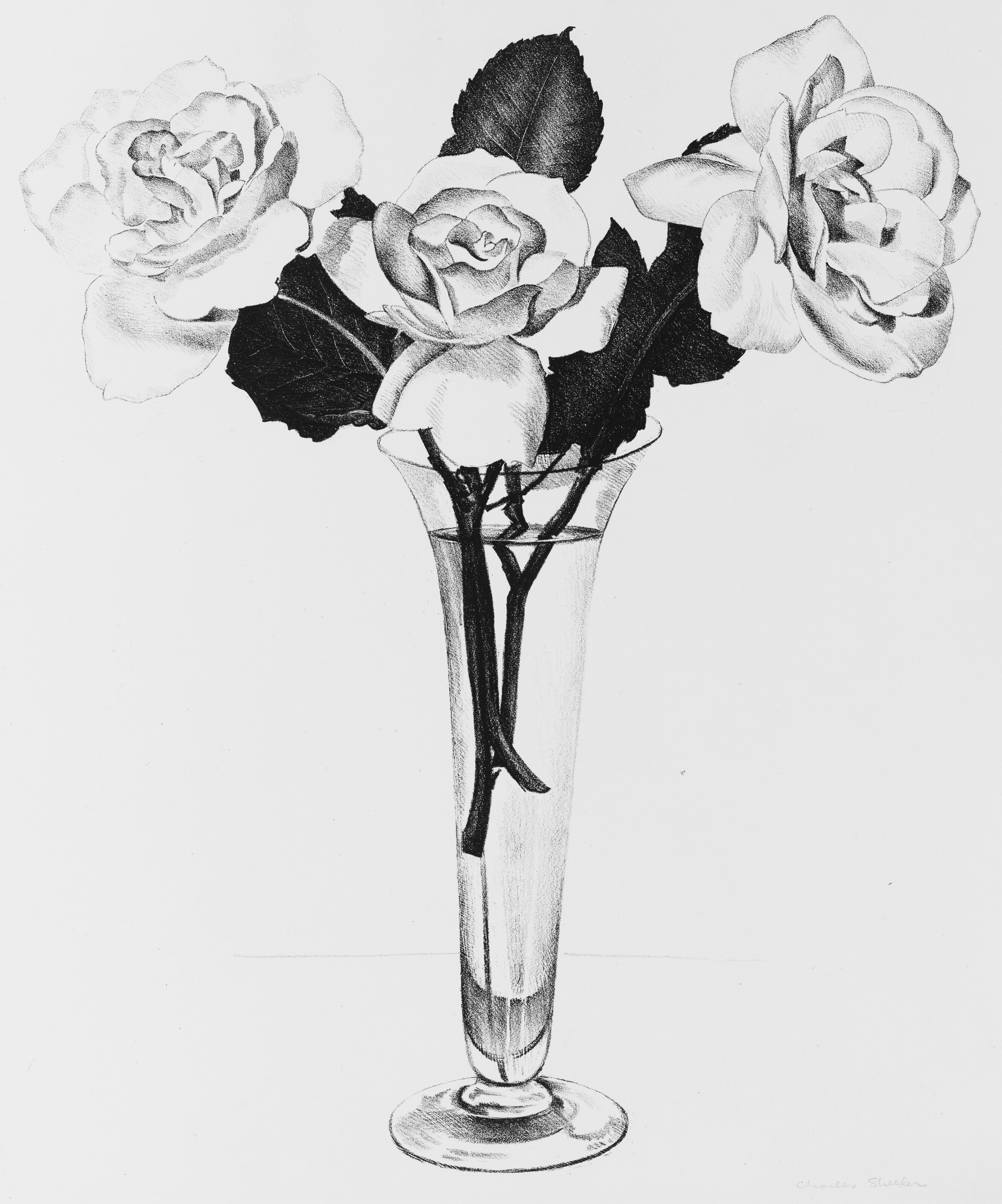 Charles Sheeler — Розы