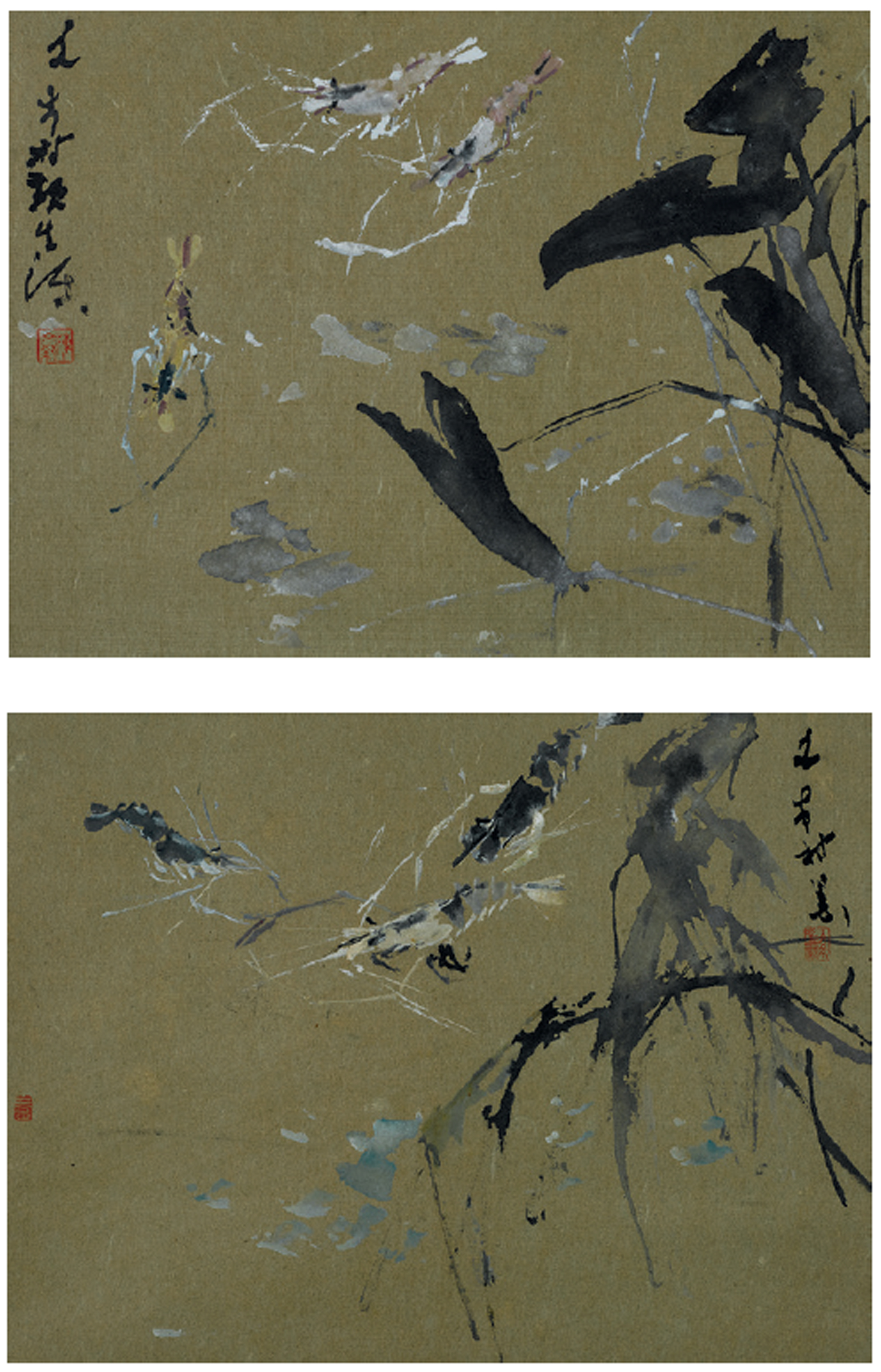 Chen Wen Hsi — Креветка