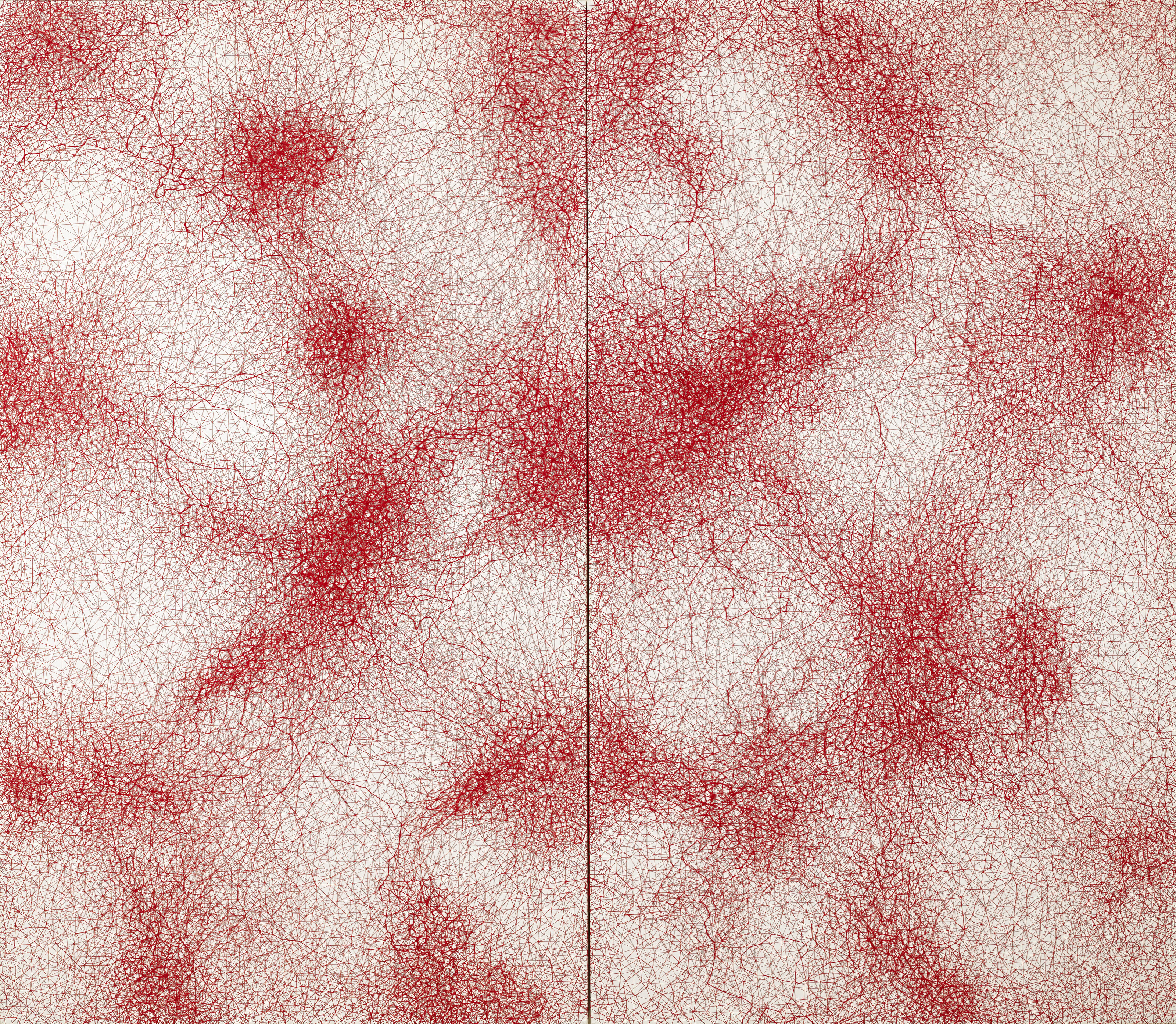 Chiharu Shiota — Кожа