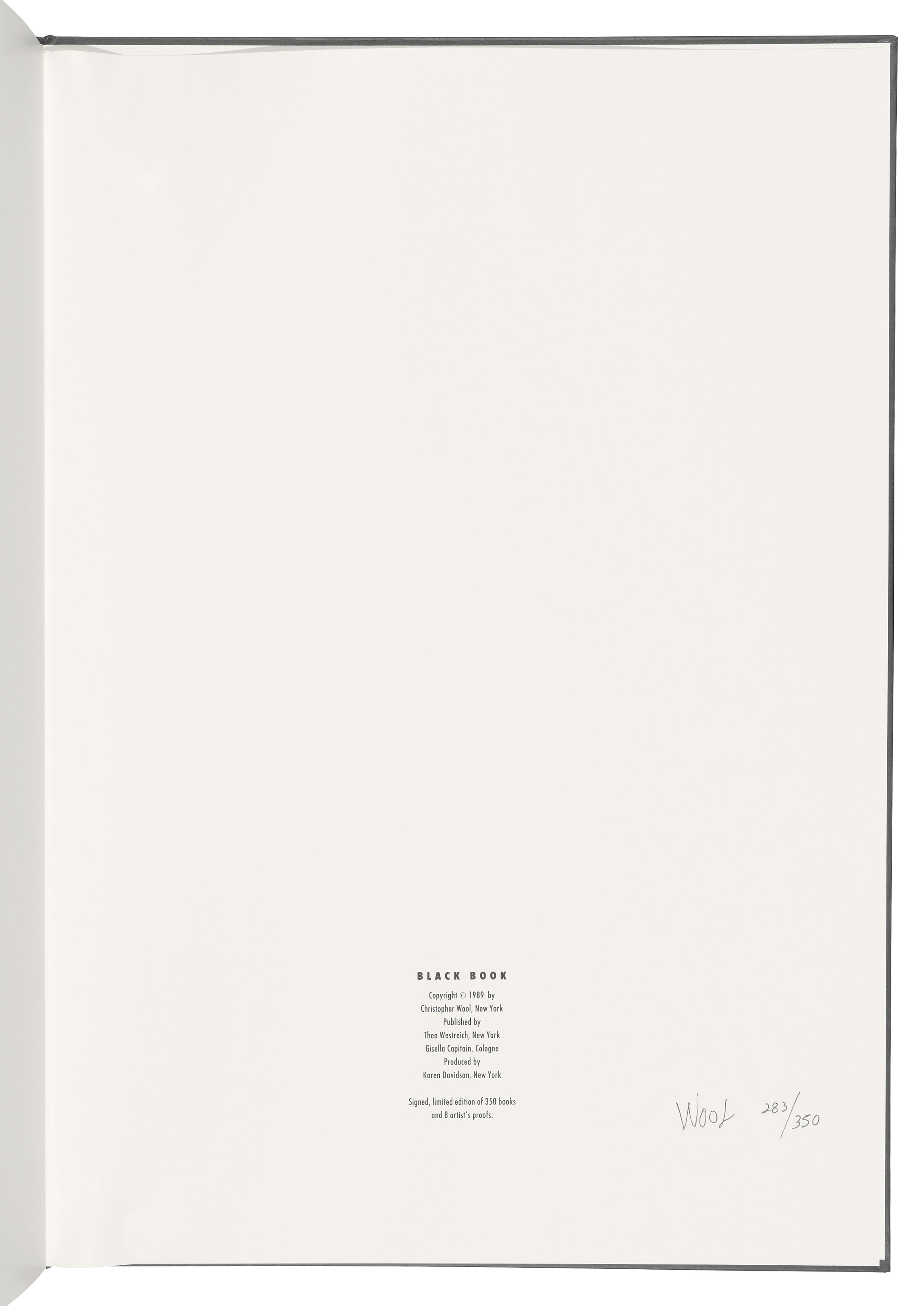 Christopher Wool — Черная книга, изображение 3