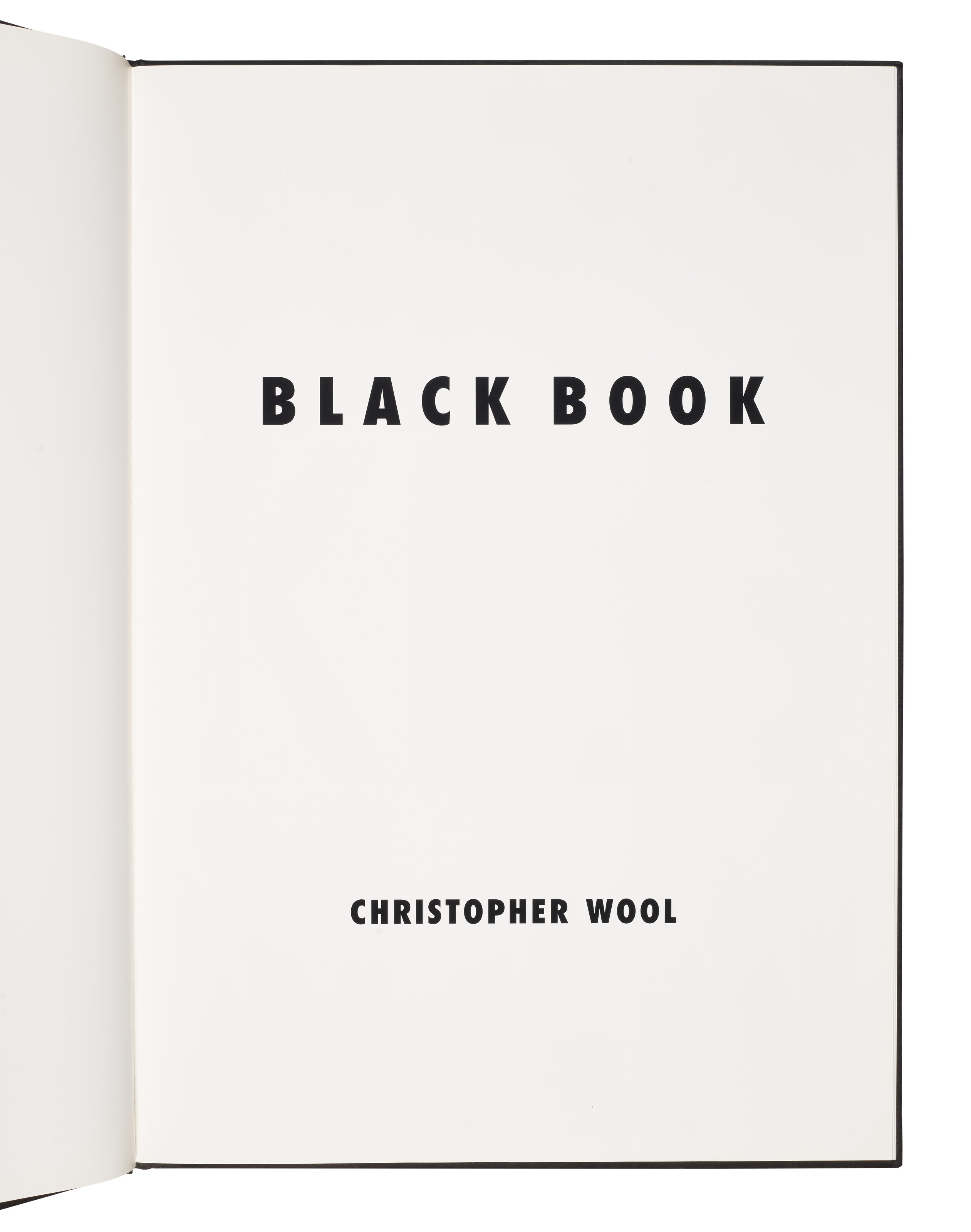 Christopher Wool — Черная книга, изображение 6