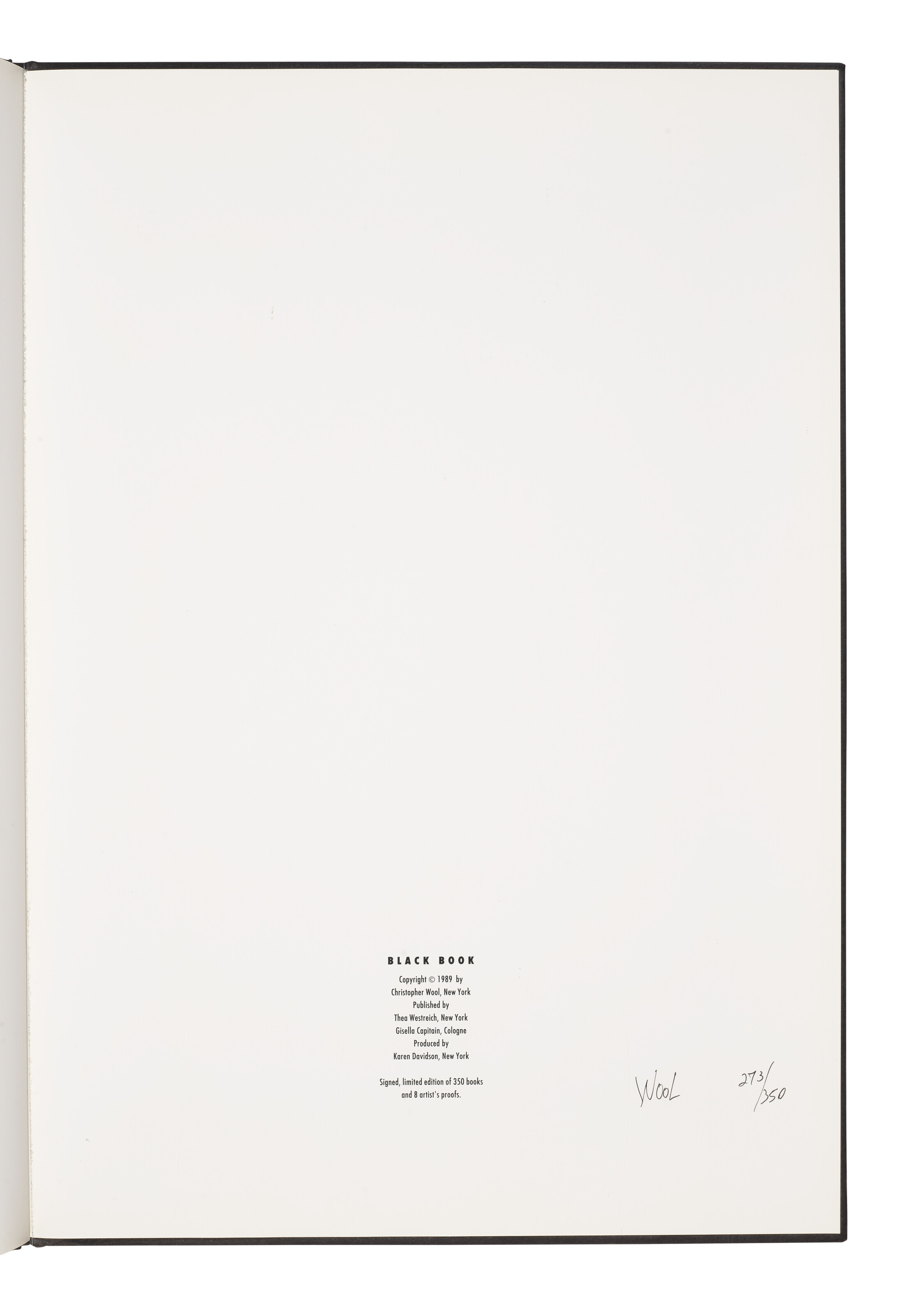 Christopher Wool — Черная книга, изображение 7