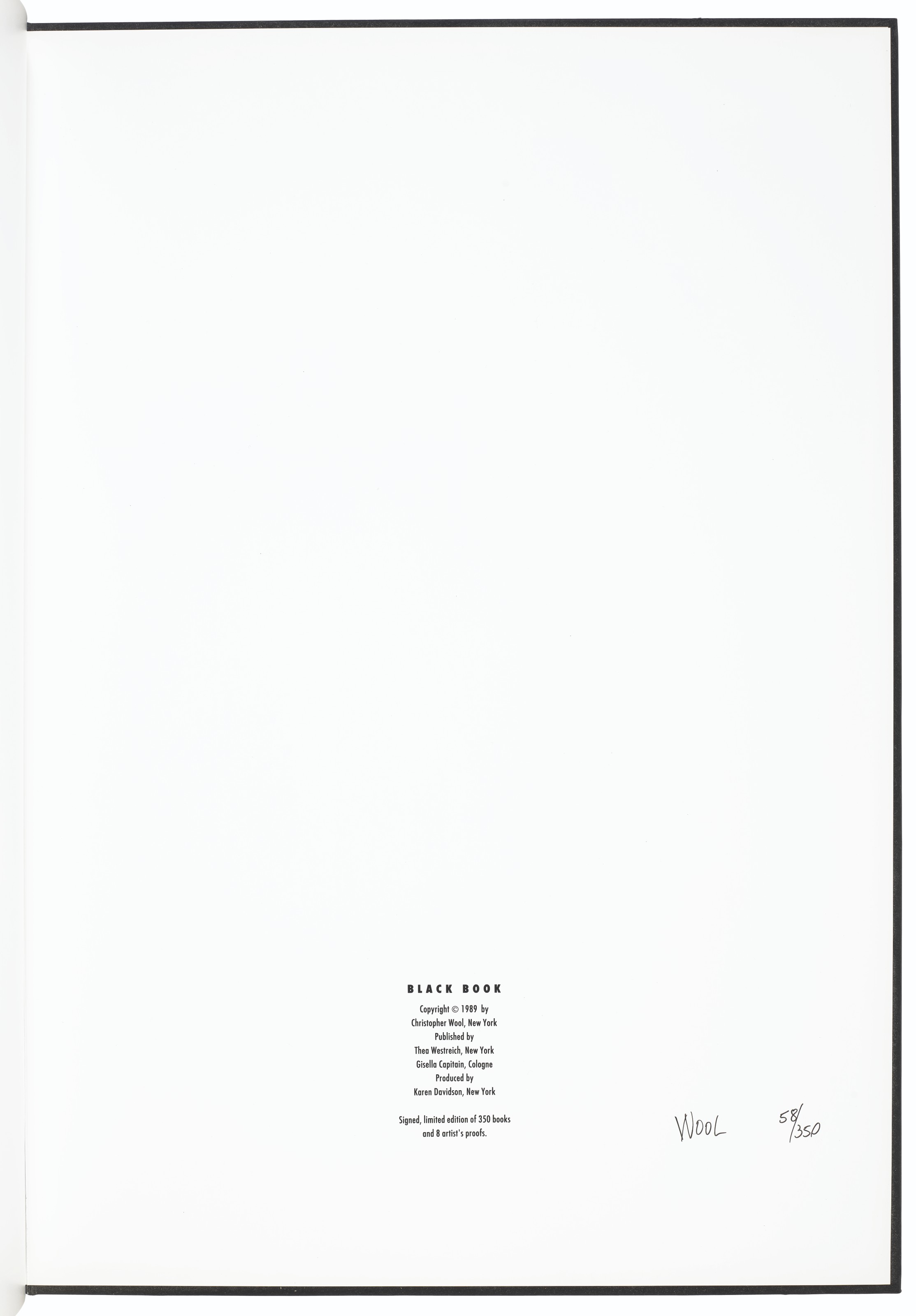 Christopher Wool — Черная книга, изображение 8
