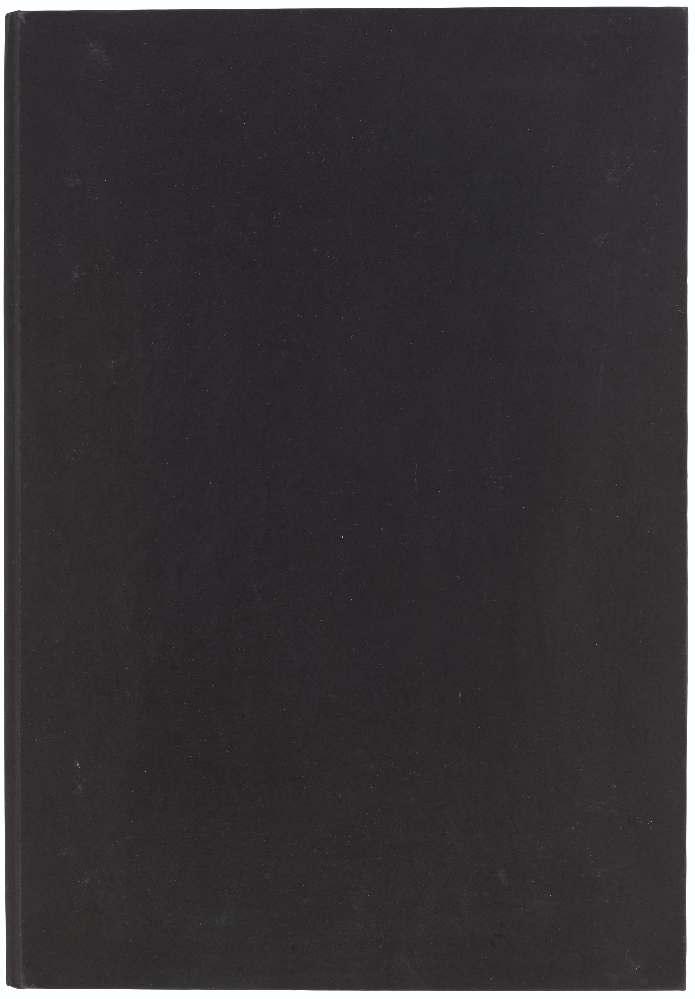 Christopher Wool — Черная книга, изображение 9