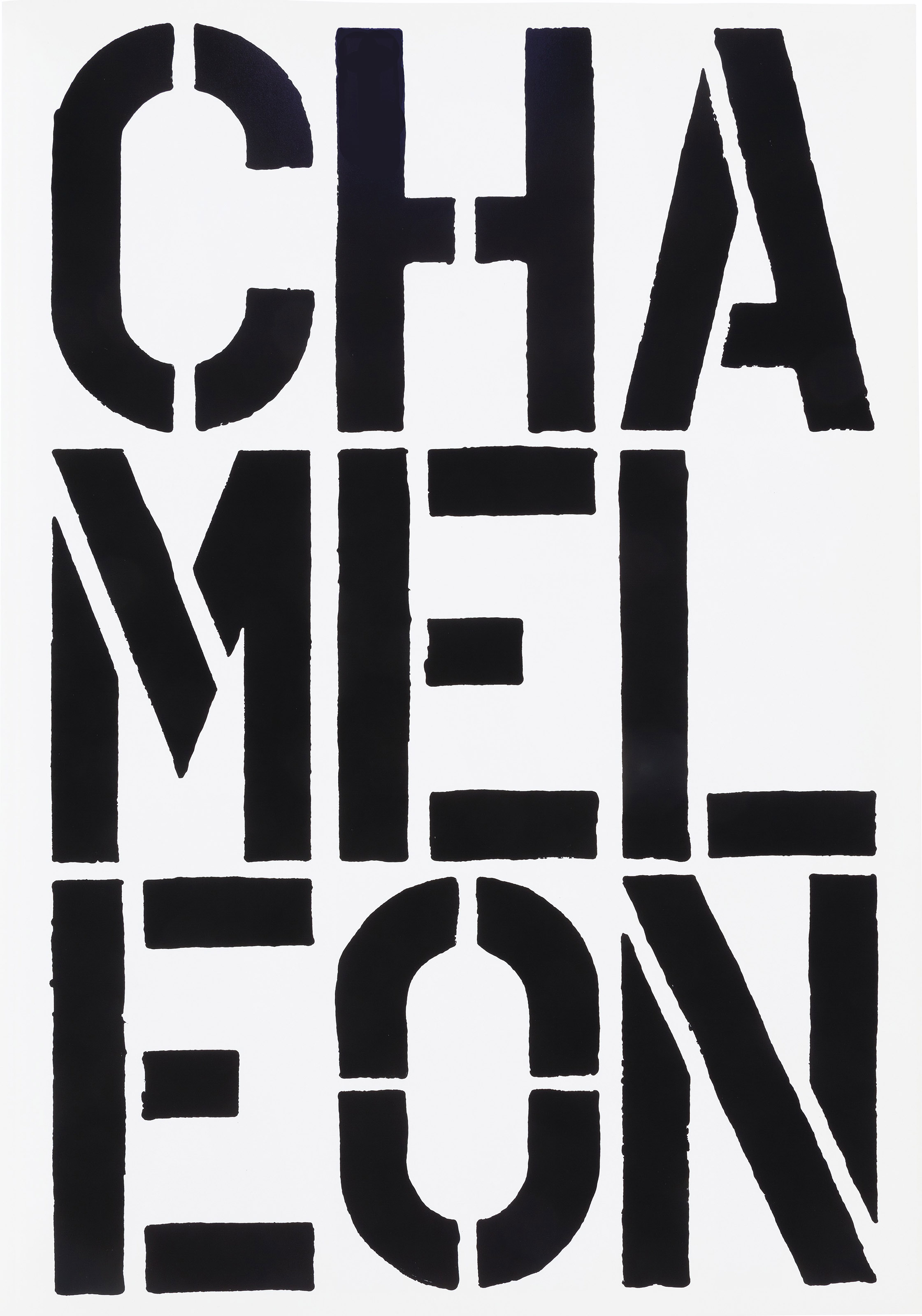 Christopher Wool — Черная книга, изображение 6