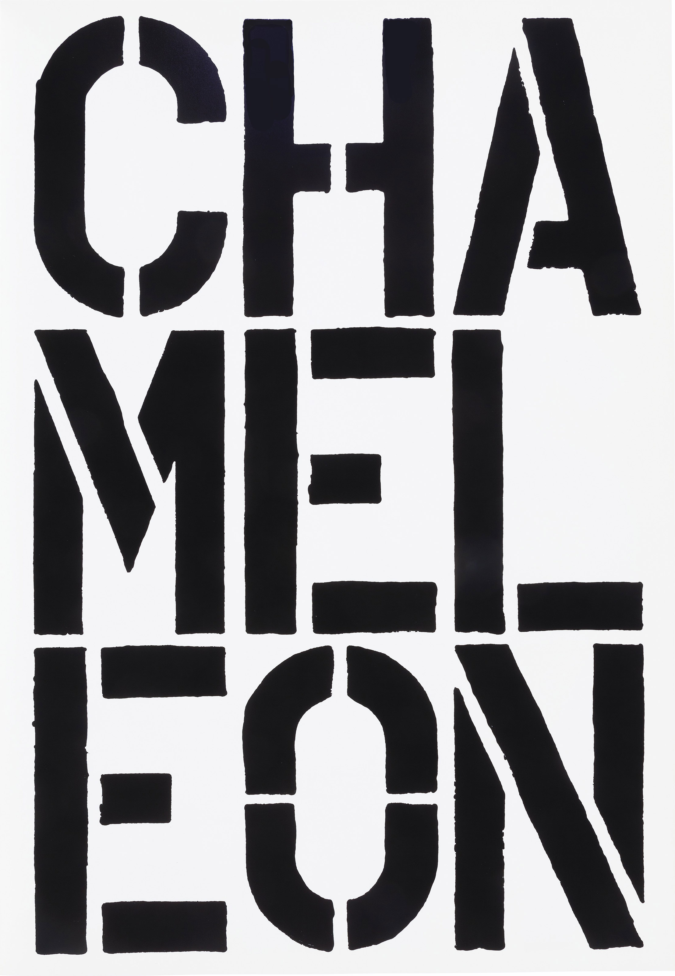 Christopher Wool — Черная книга, изображение 7