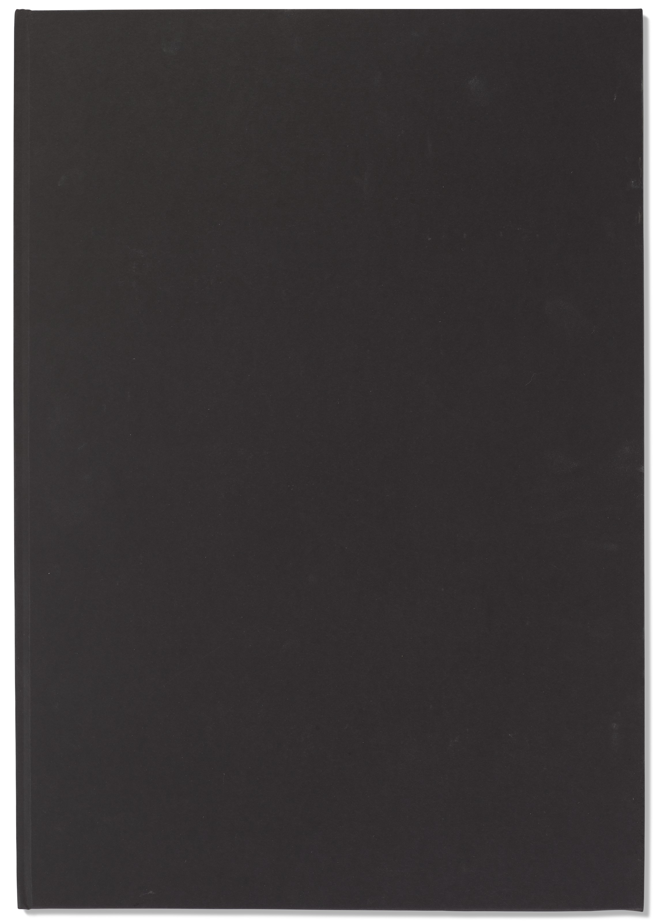 Christopher Wool — Черная книга, изображение 2
