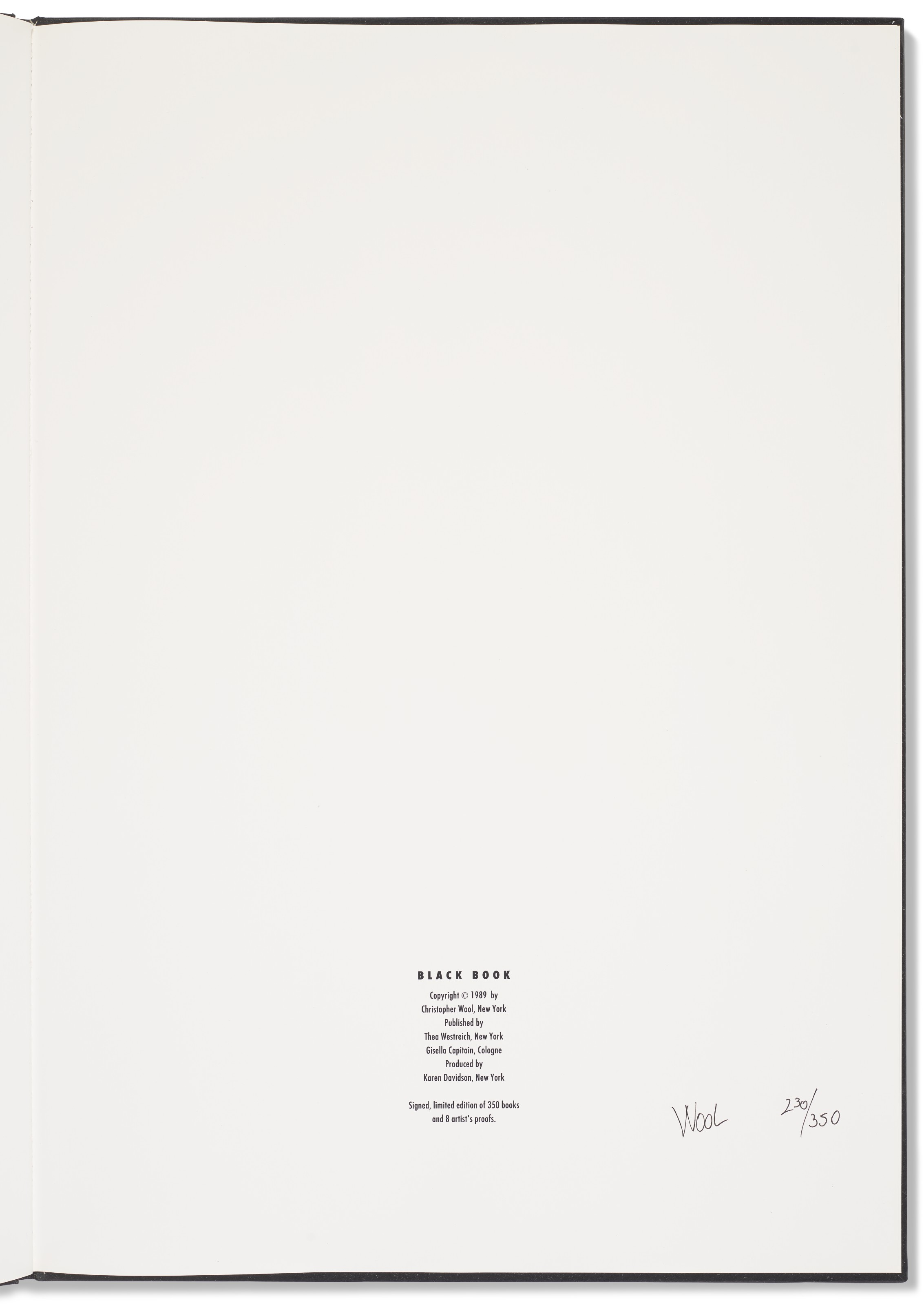 Christopher Wool — Черная книга, изображение 13