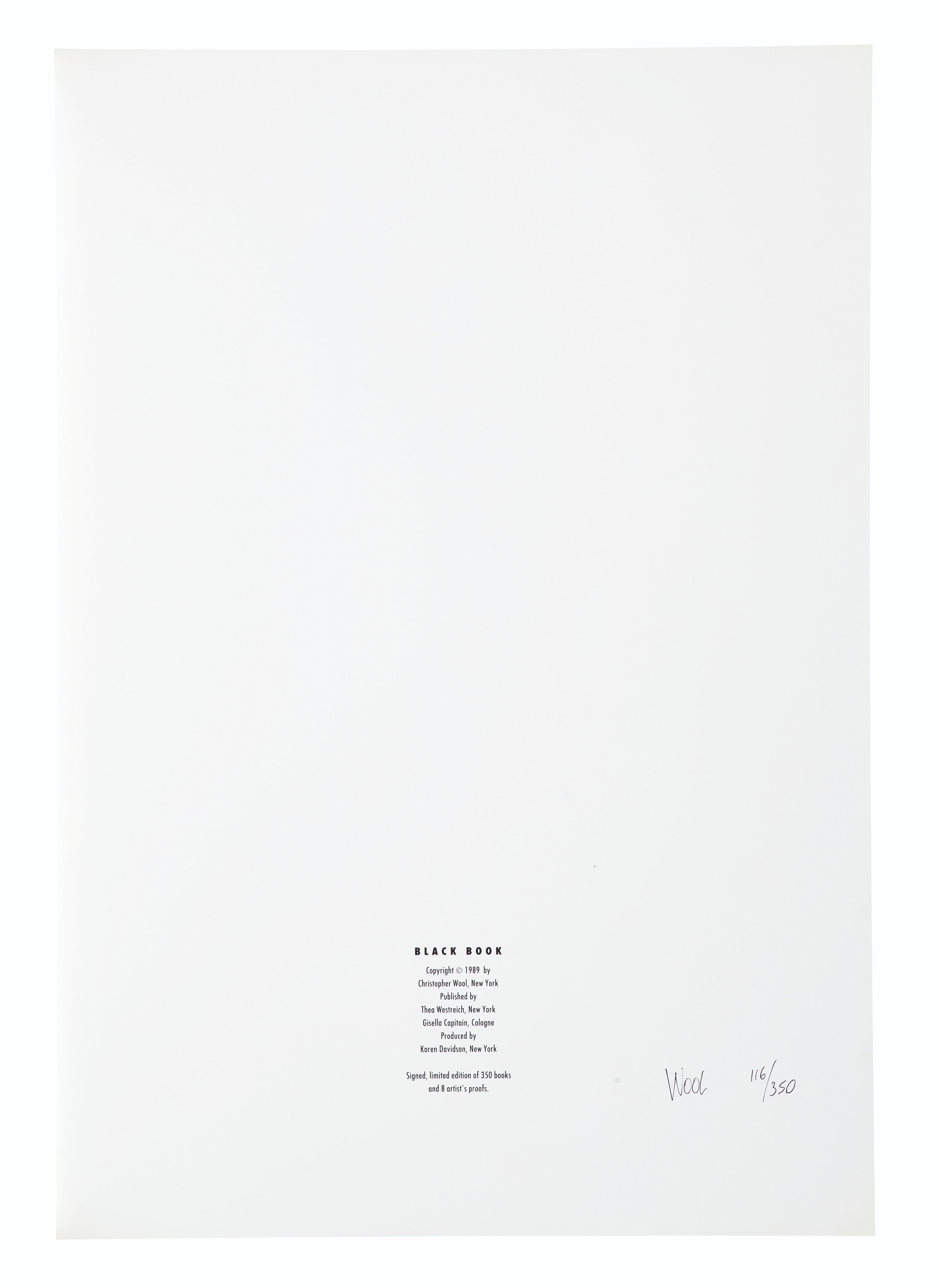 Christopher Wool — Черная книга, изображение 19