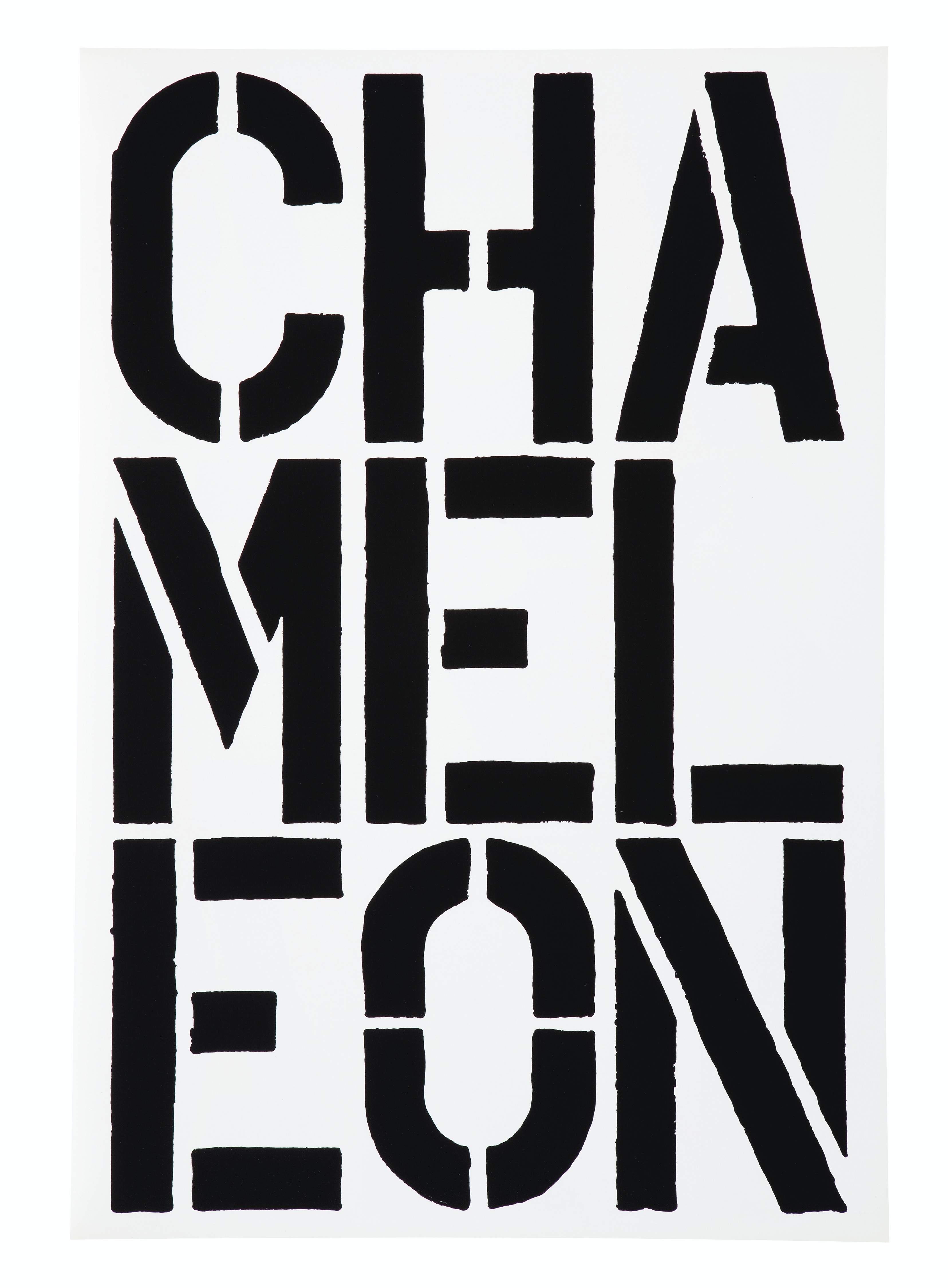 Christopher Wool — Черная книга, изображение 7