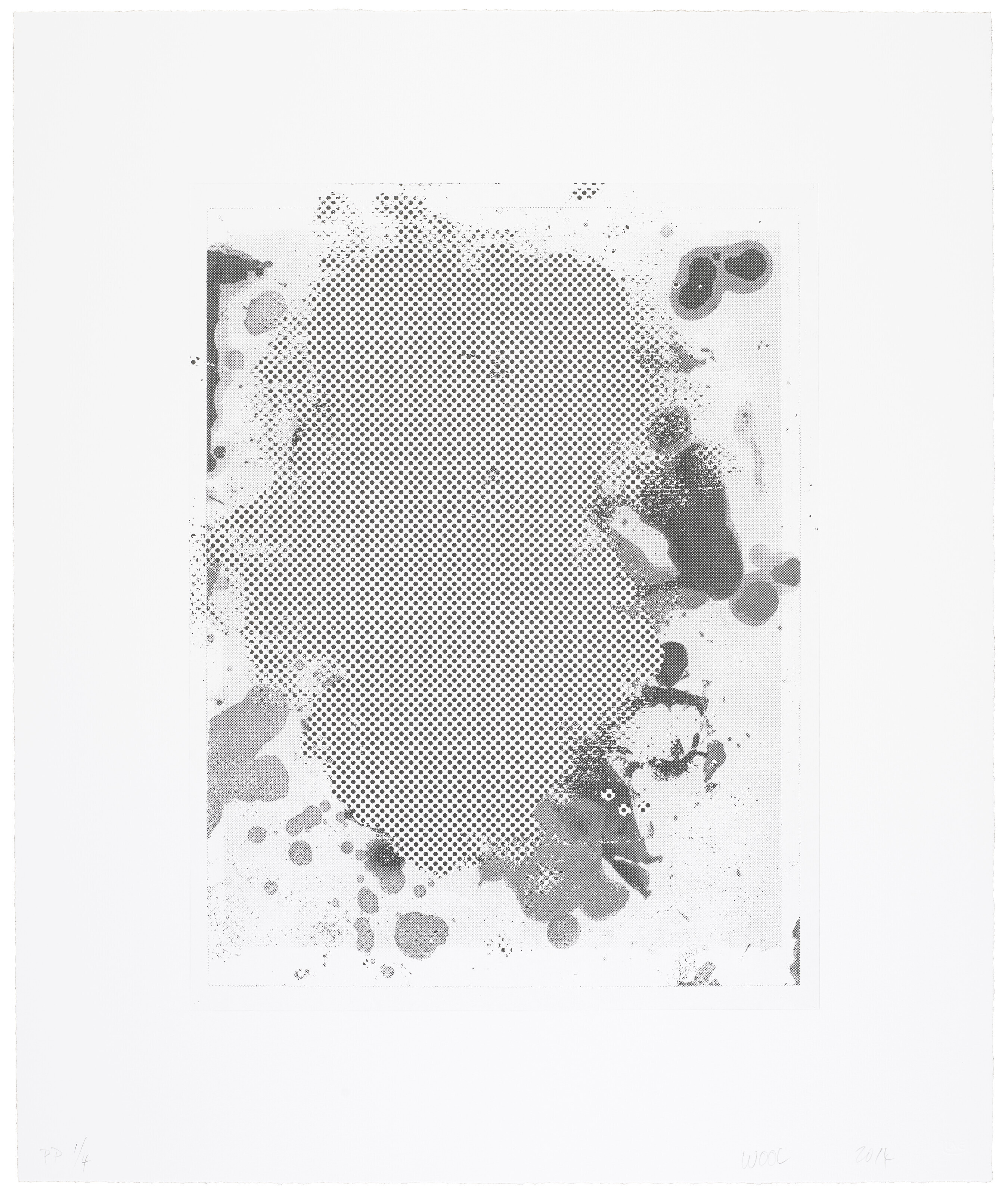 Christopher Wool — Портреты (ч/б), изображение 3