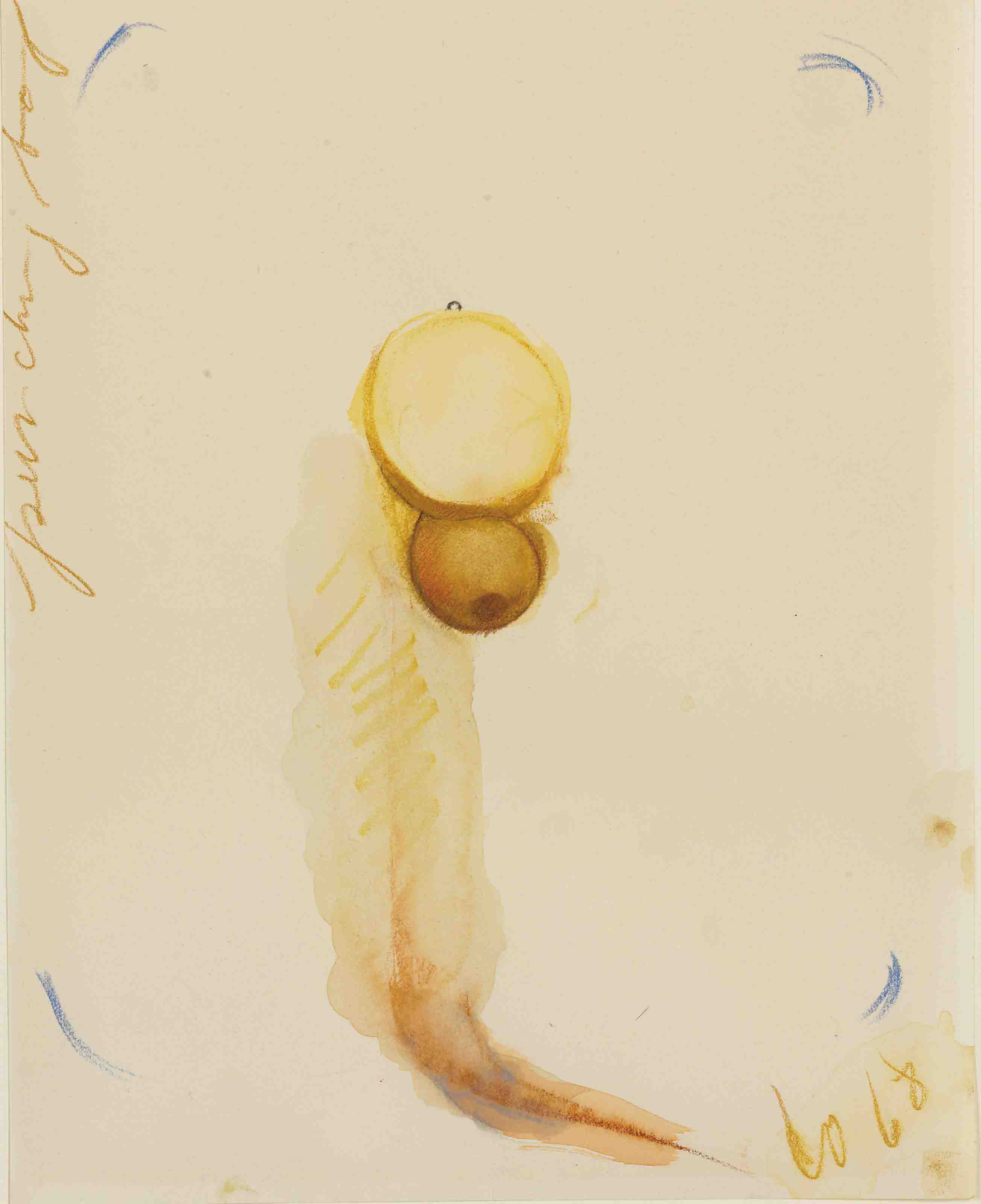 Claes Oldenburg — Эскиз боксерской груши