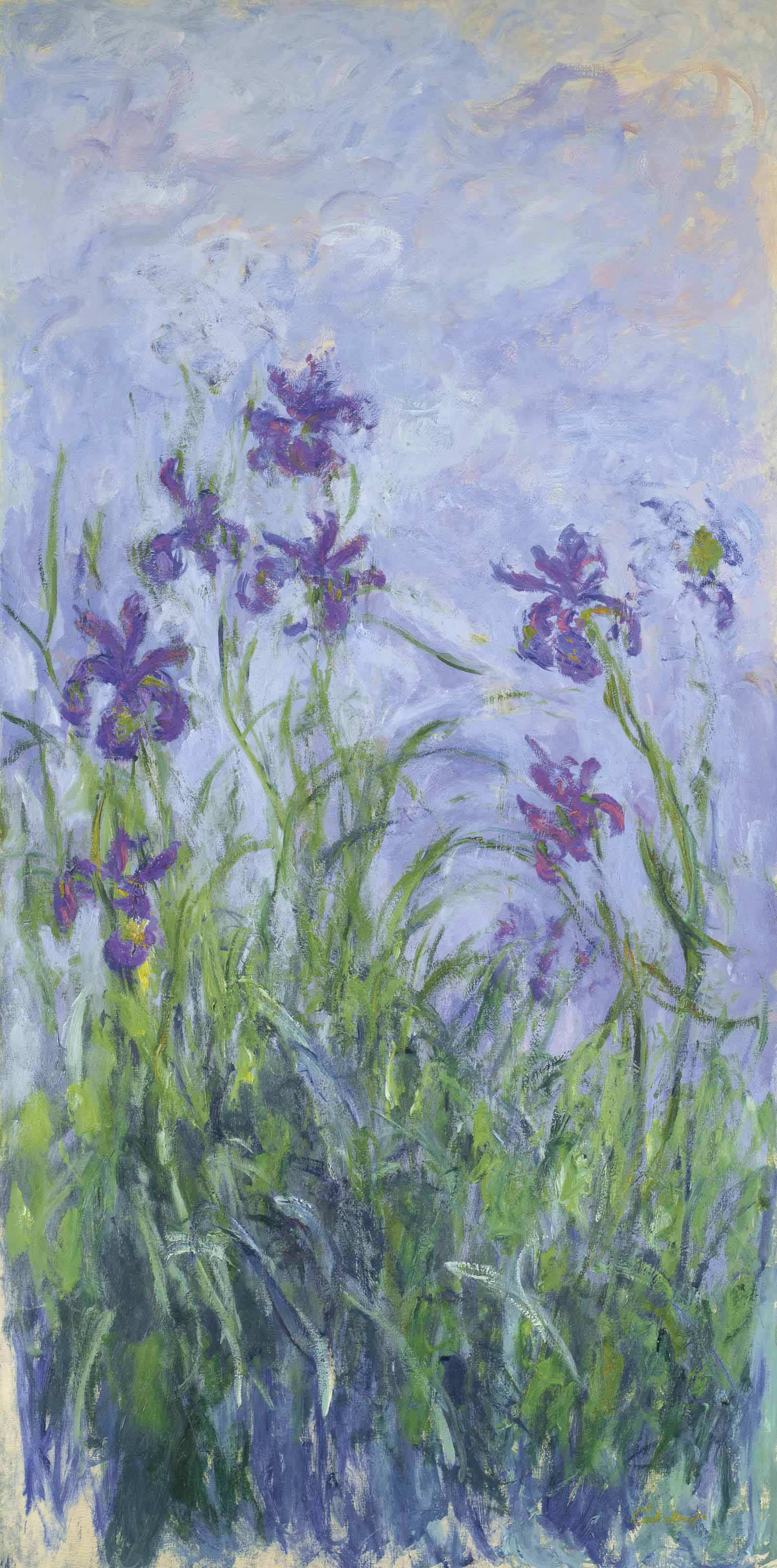 Claude Monet — Ирис лиловый