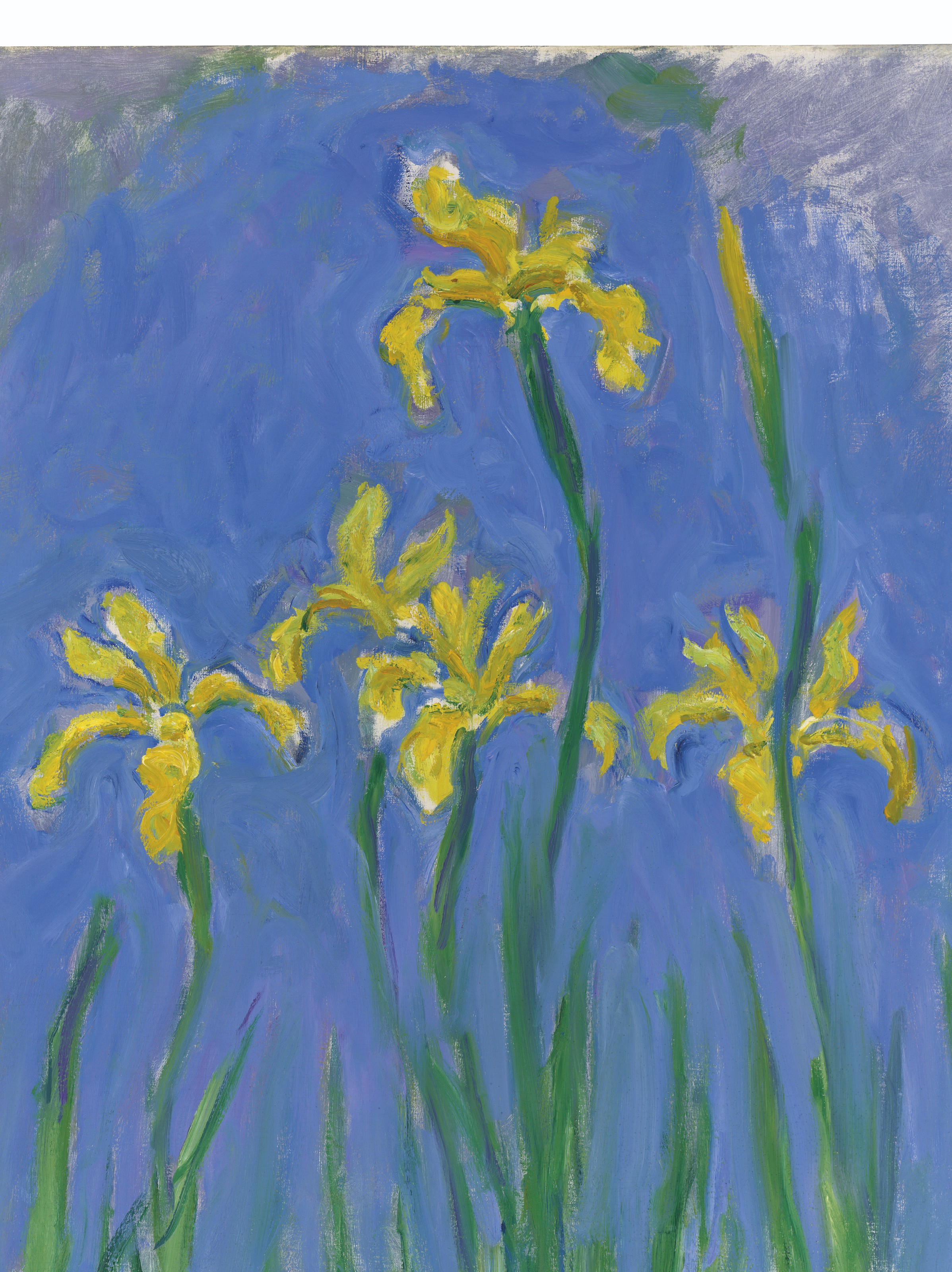 Claude Monet — Ирис, изображение 3
