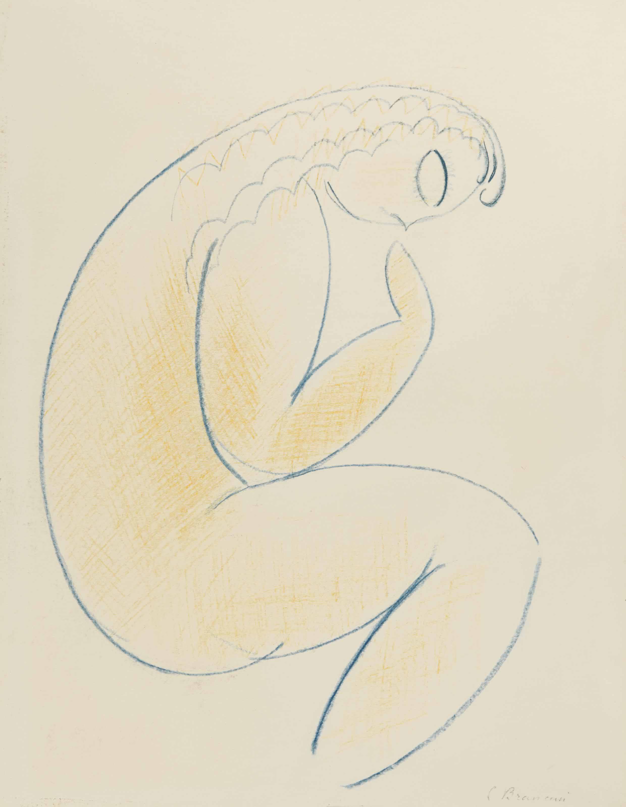 Constantin Brancusi — Новый профиль assis de profil