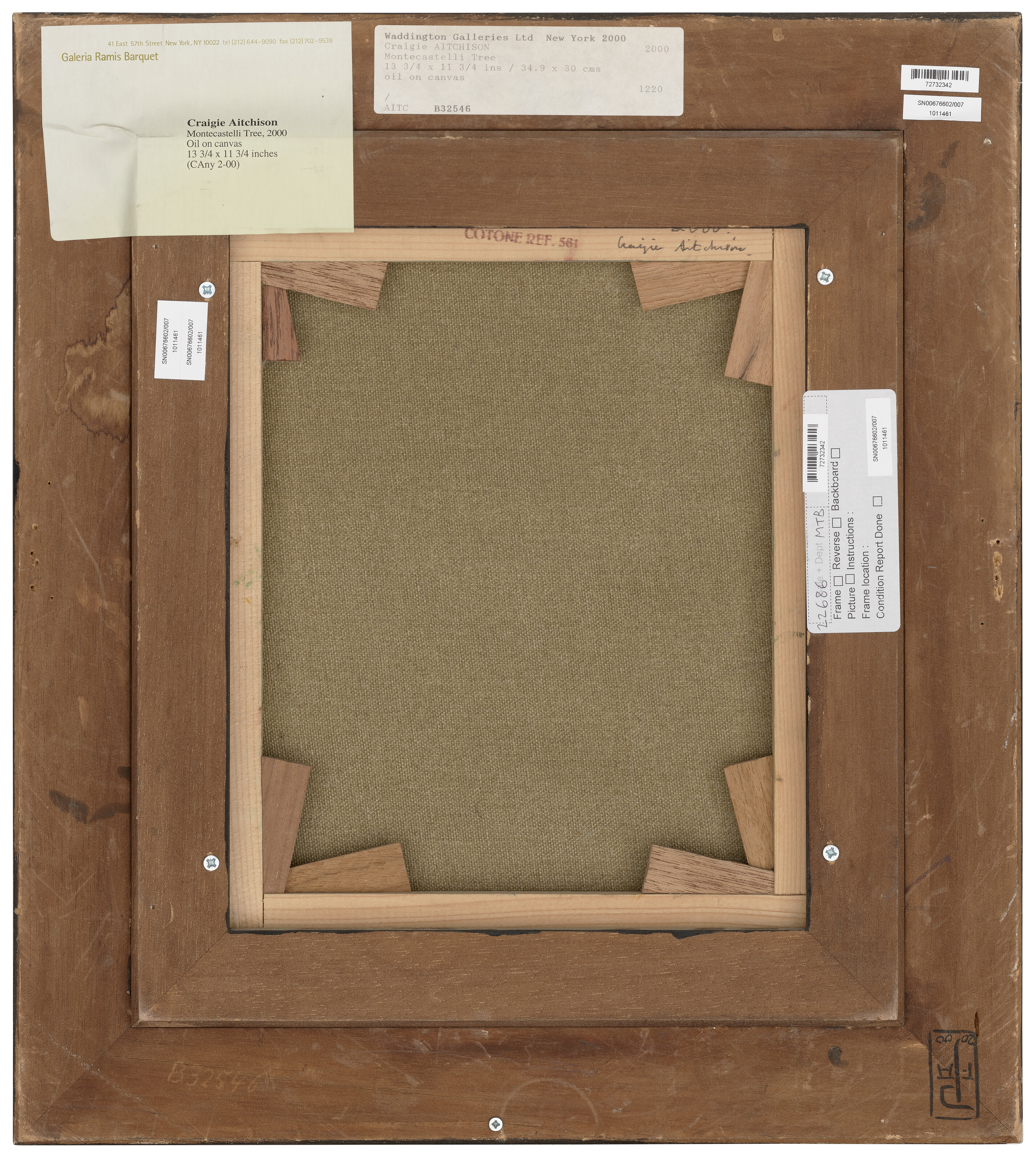 Craigie Aitchison — Дерево Монтекастелли, изображение 3