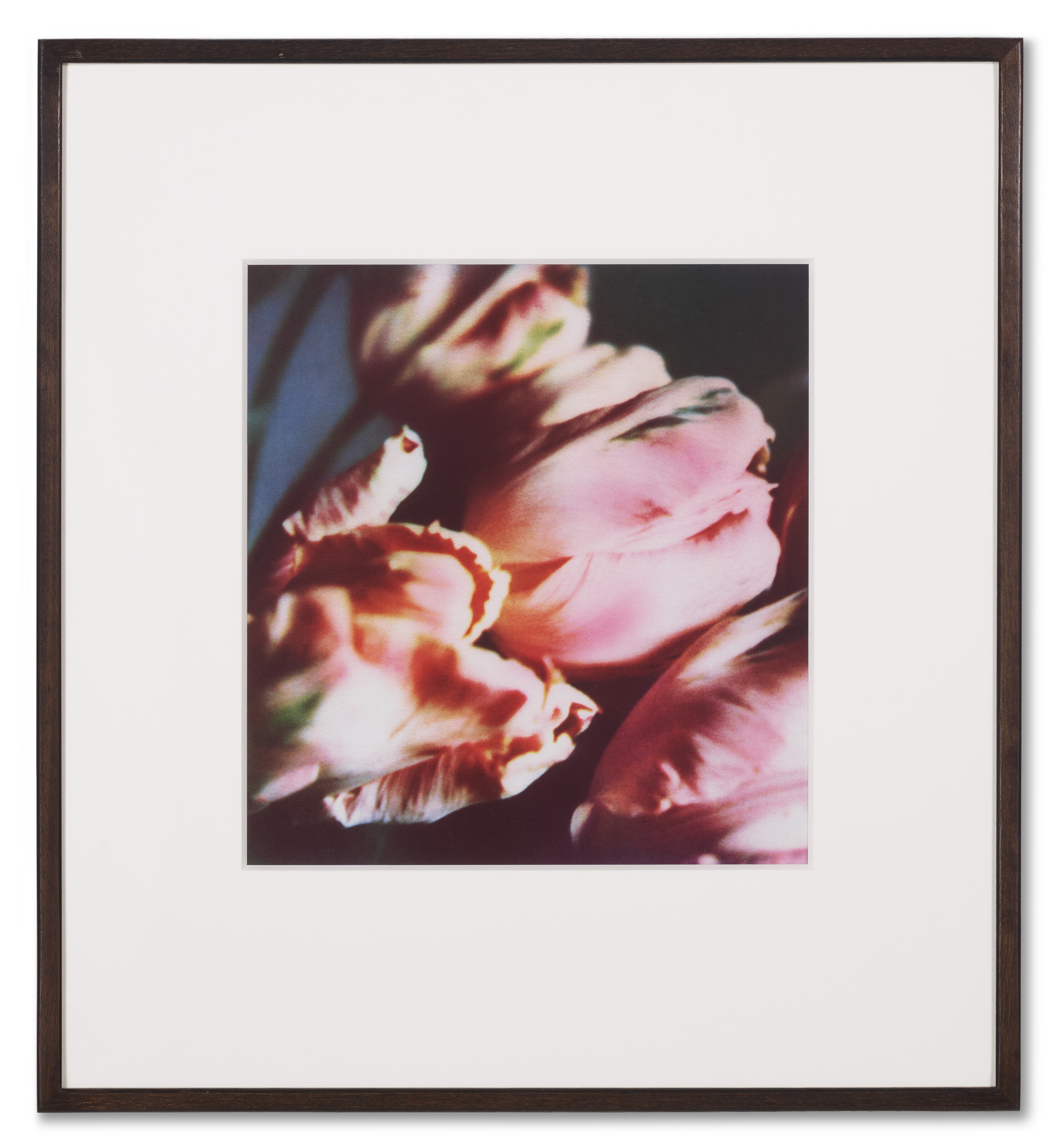 Cy Twombly — Тюльпаны (III), изображение 2