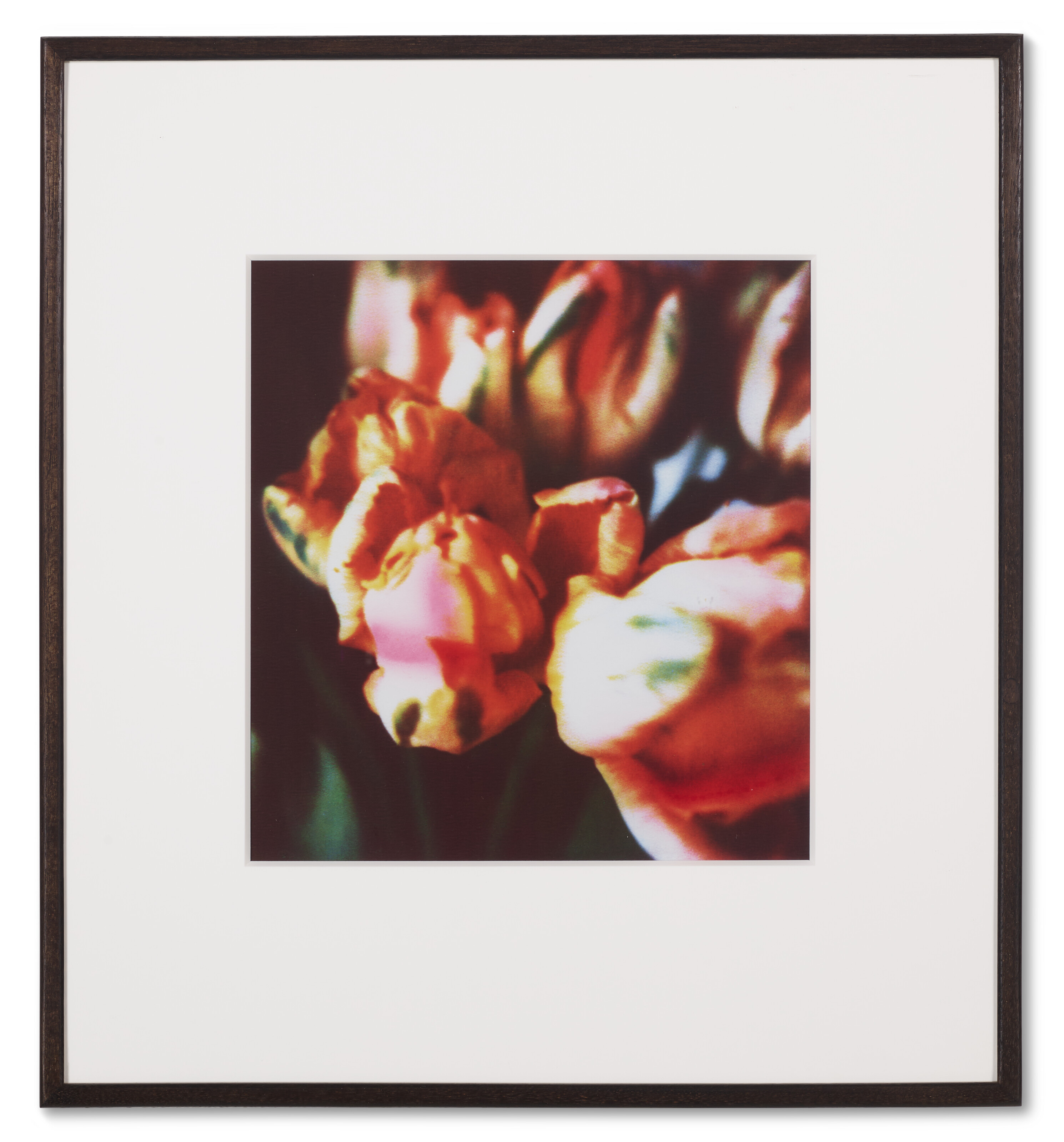 Cy Twombly — Тюльпаны (III), изображение 6