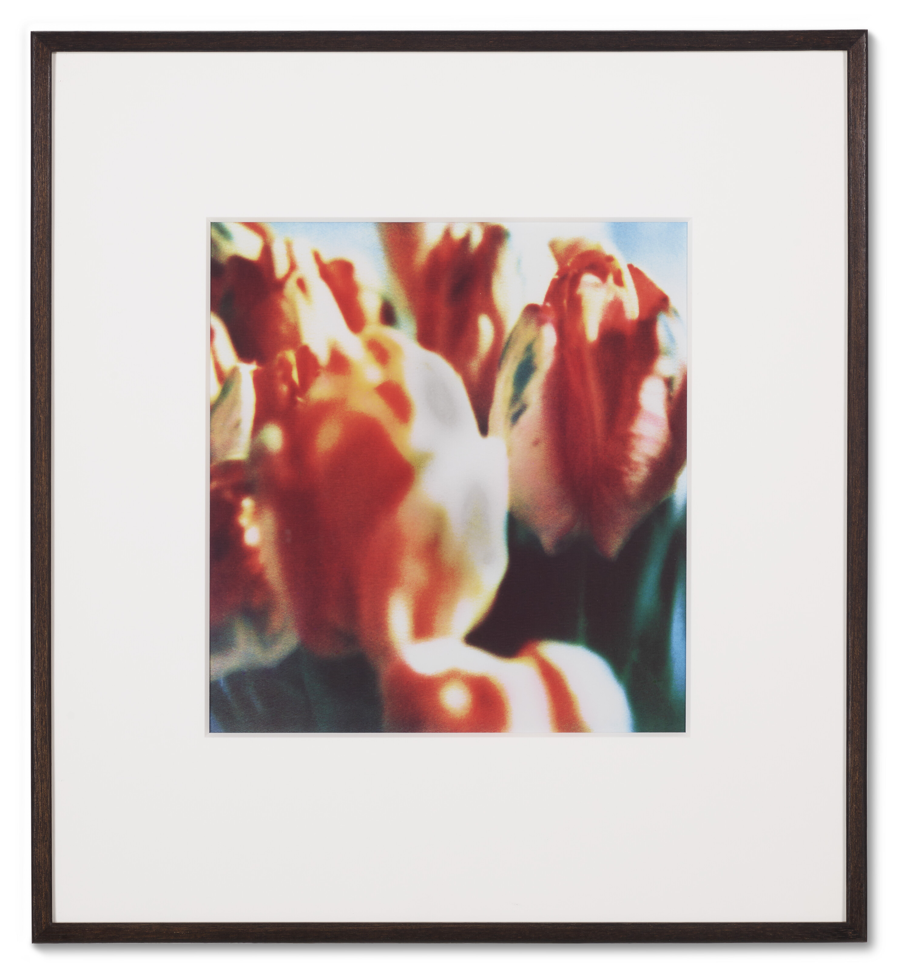 Cy Twombly — Тюльпаны (III), изображение 10