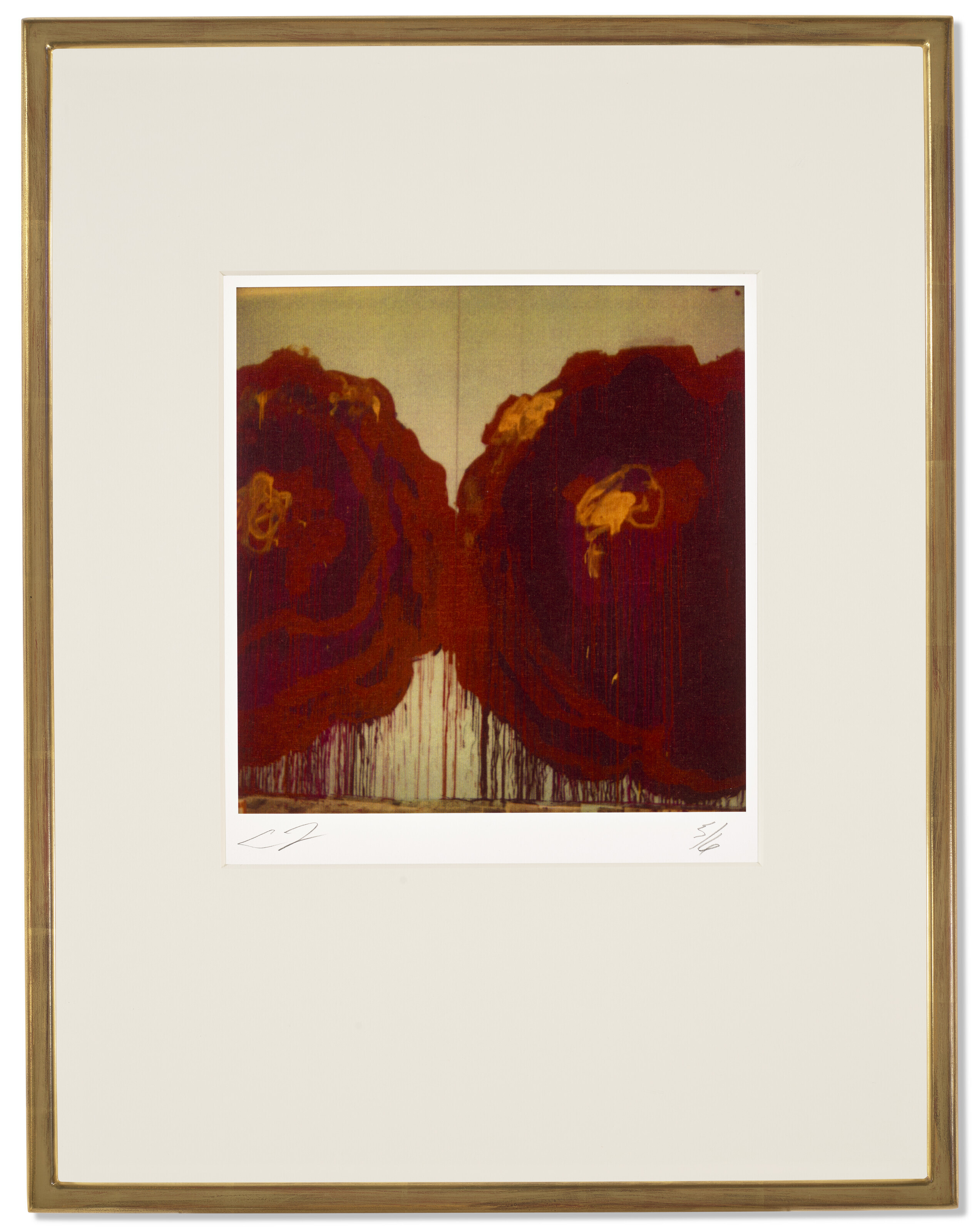 Cy Twombly — Деталь росписи (розы), изображение 2