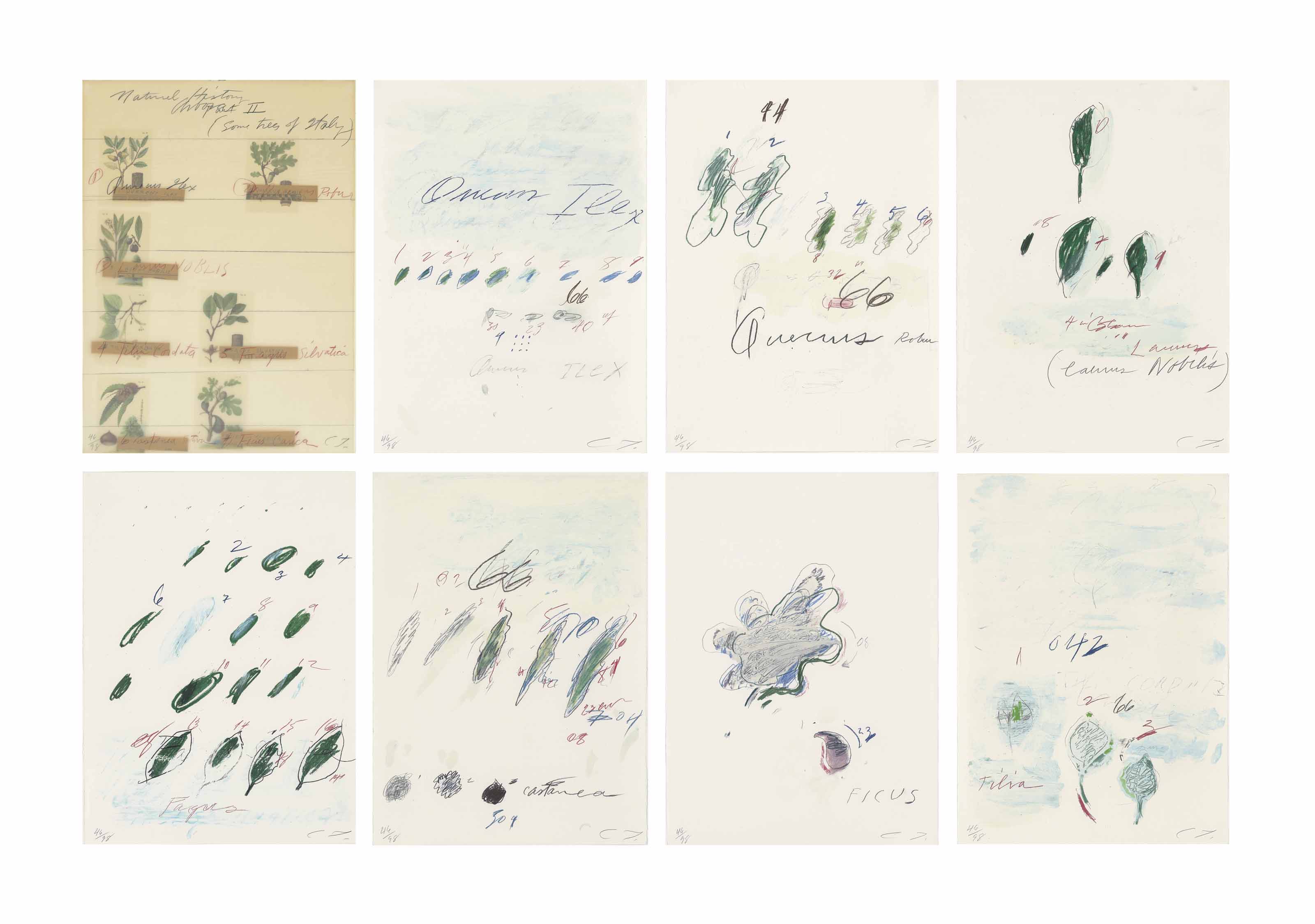 Cy Twombly — Естественная история, часть II: Некоторые деревья Италии
