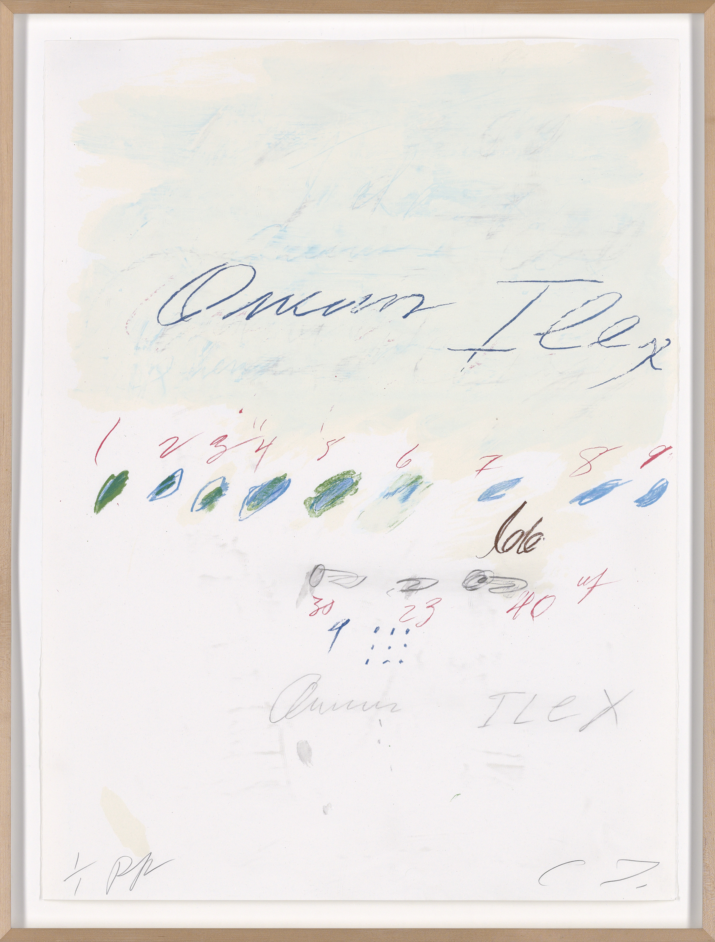 Cy Twombly — Естественная история, часть II: Некоторые деревья Италии, изображение 3