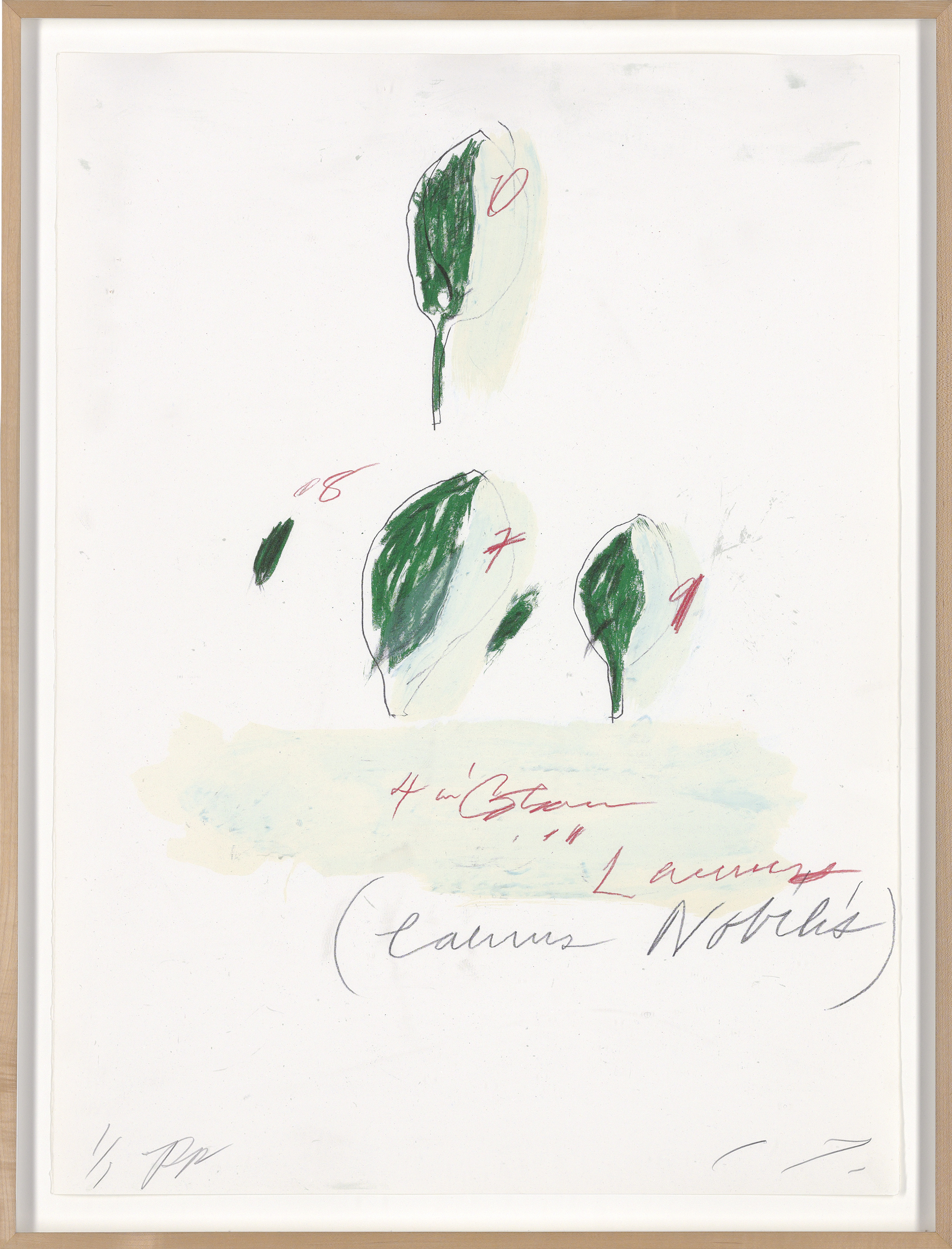 Cy Twombly — Естественная история, часть II: Некоторые деревья Италии, изображение 5