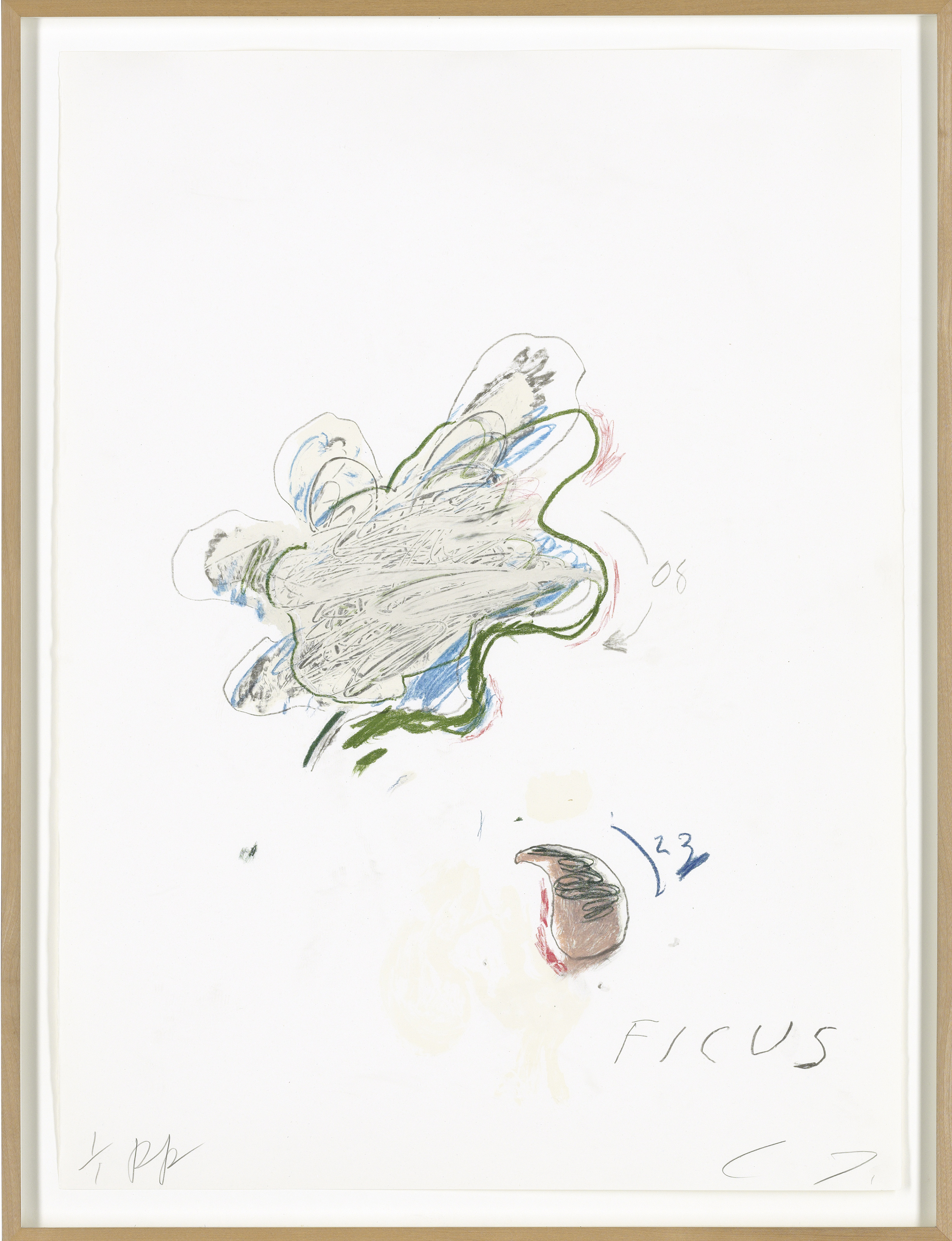 Cy Twombly — Естественная история, часть II: Некоторые деревья Италии, изображение 8