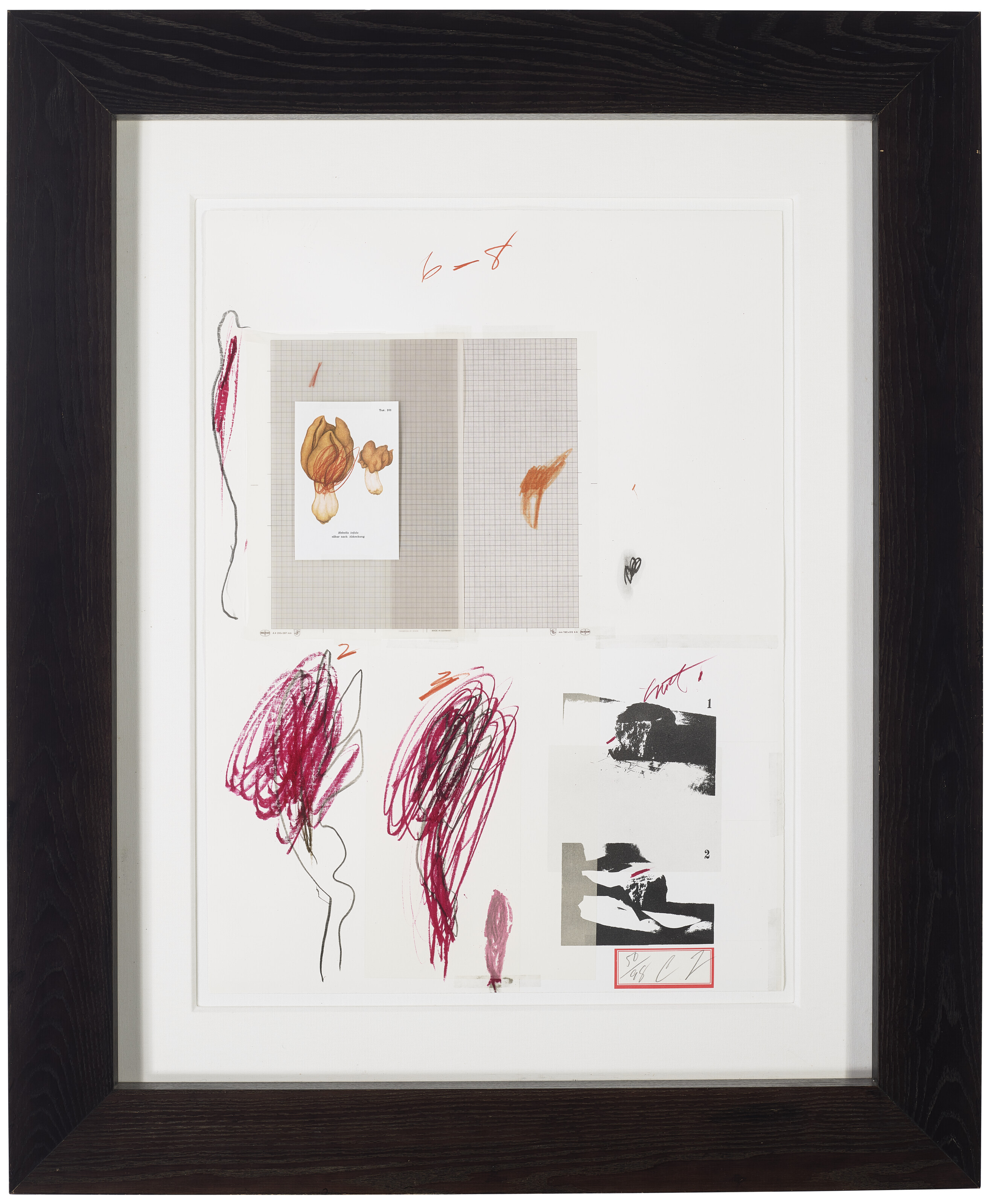 Cy Twombly — № IX, из первой части "Естественной истории": Грибы, изображение 2