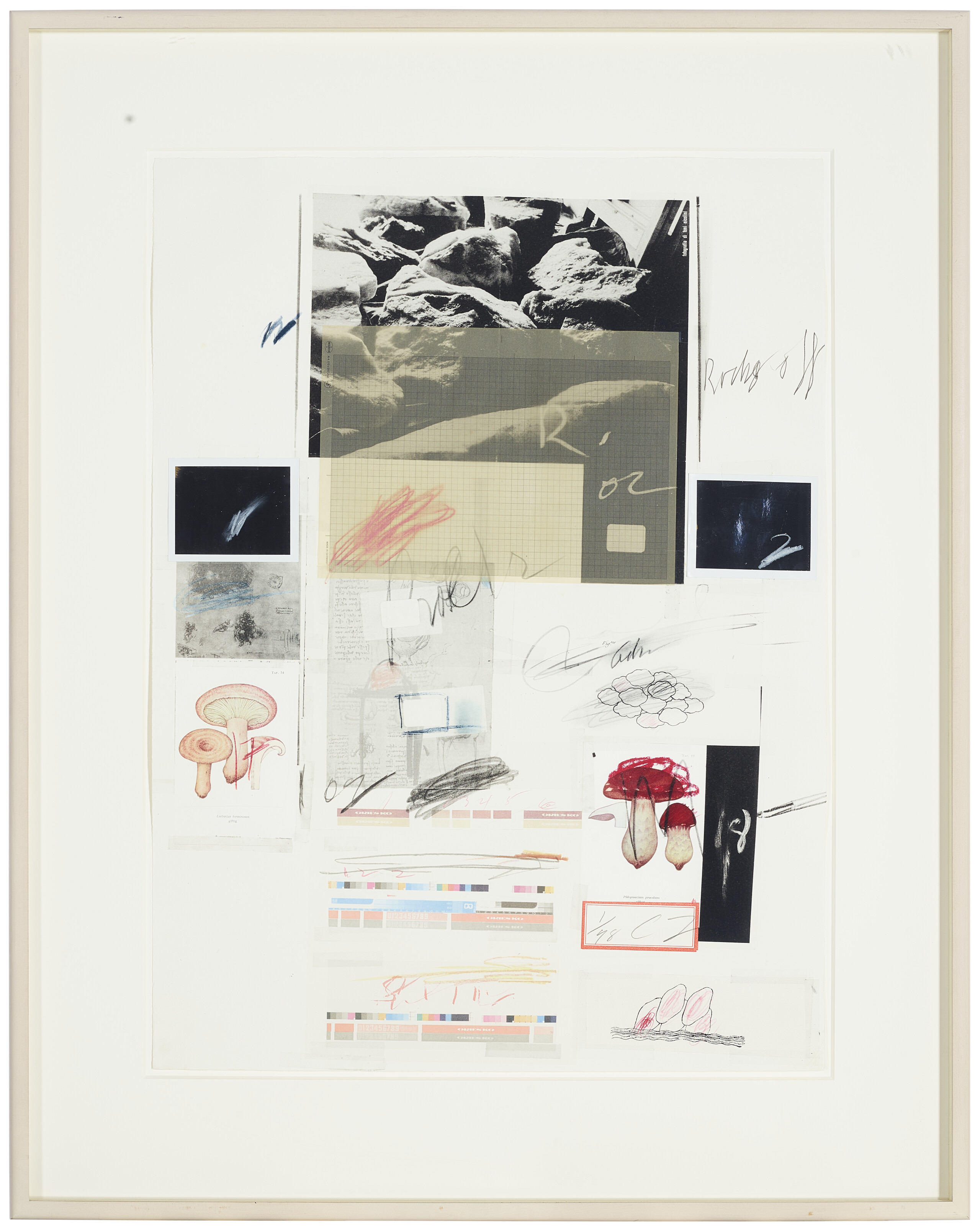 Cy Twombly — № X, из первой части "Естественной истории": Грибы, изображение 2