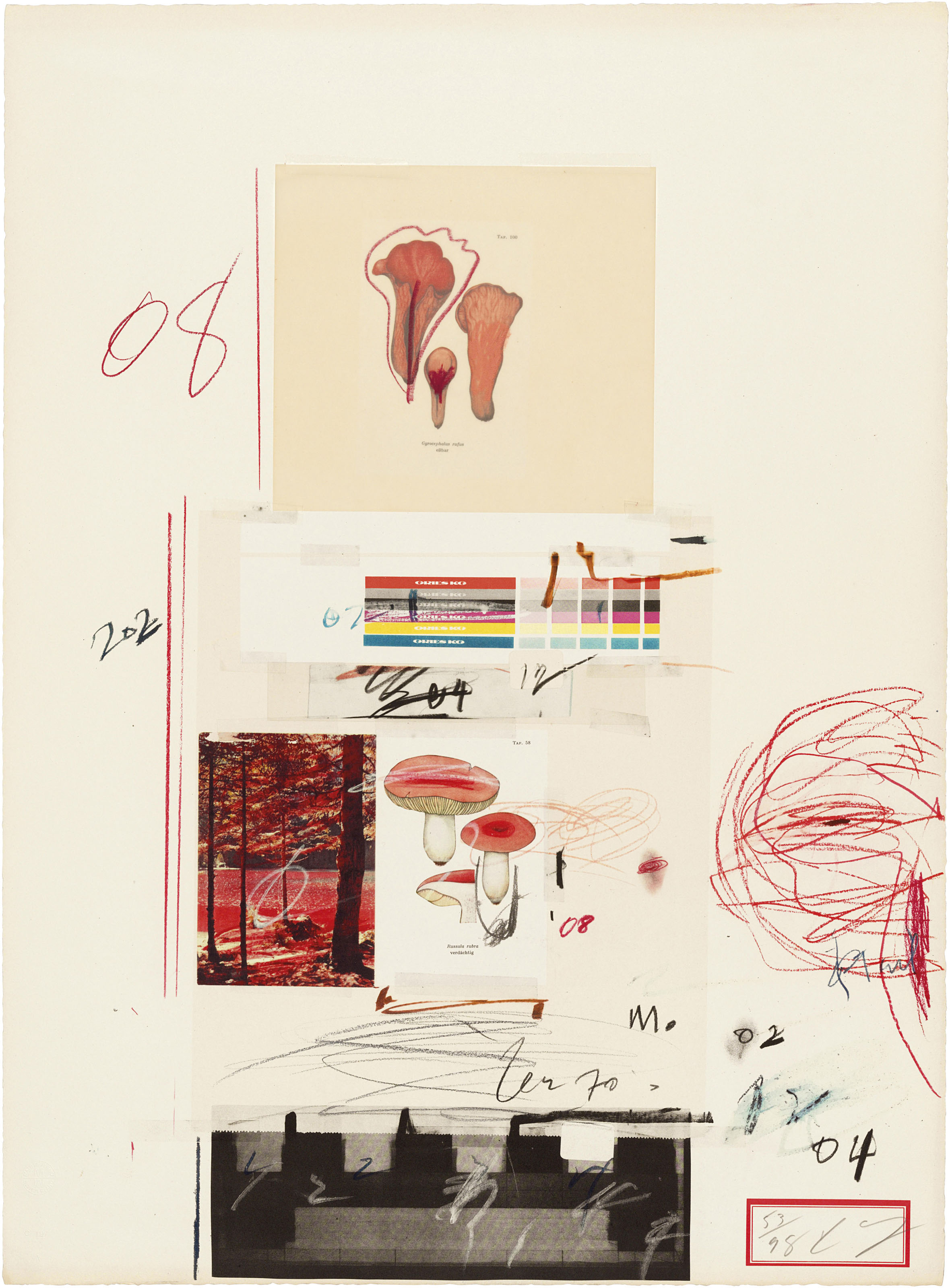Cy Twombly — Фото V, из: Естественная история, часть I