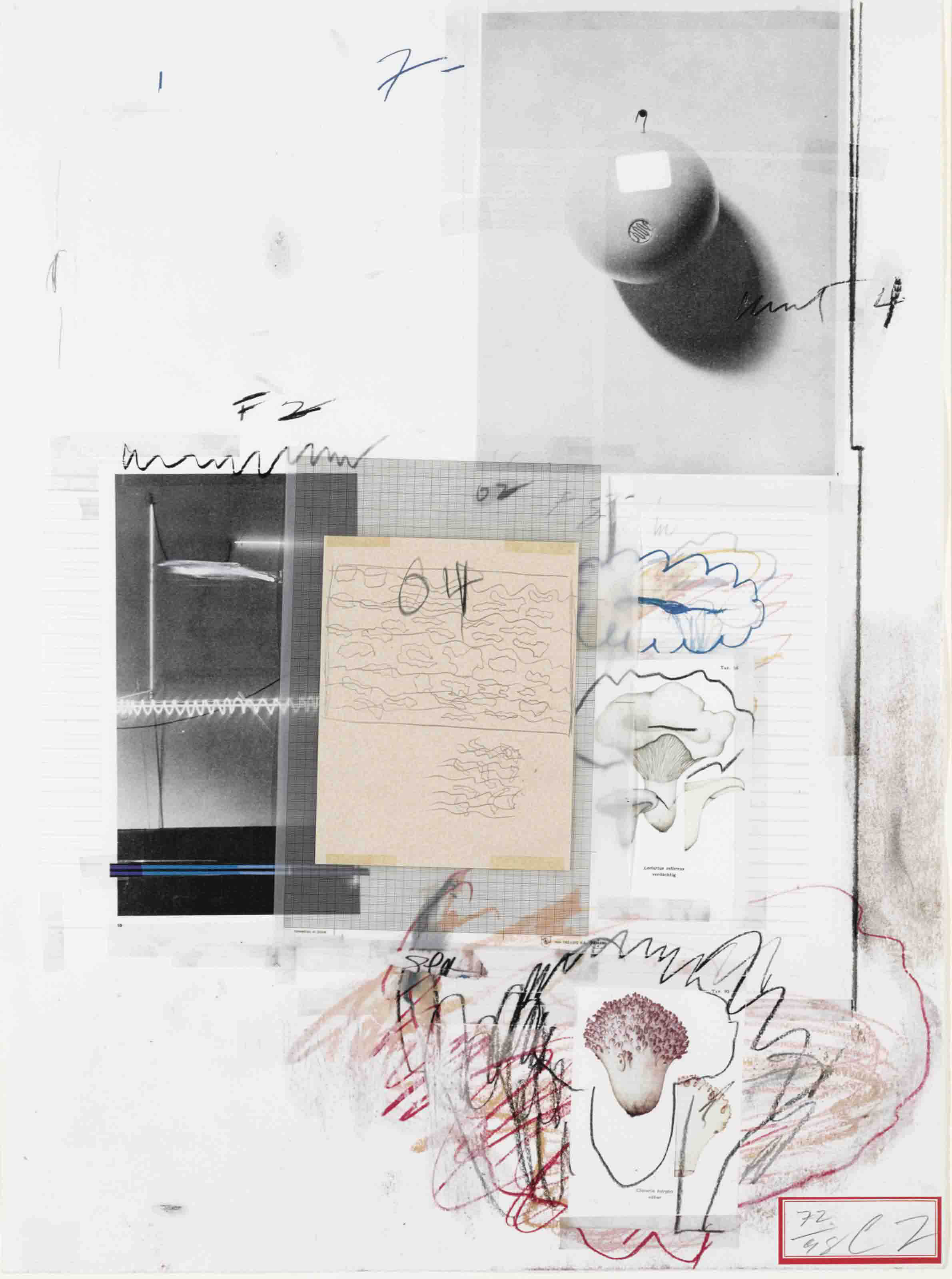Cy Twombly — Естественная история, часть I, №. VIII, из книги "Грибы, часть I естественной истории" (стр. 49)