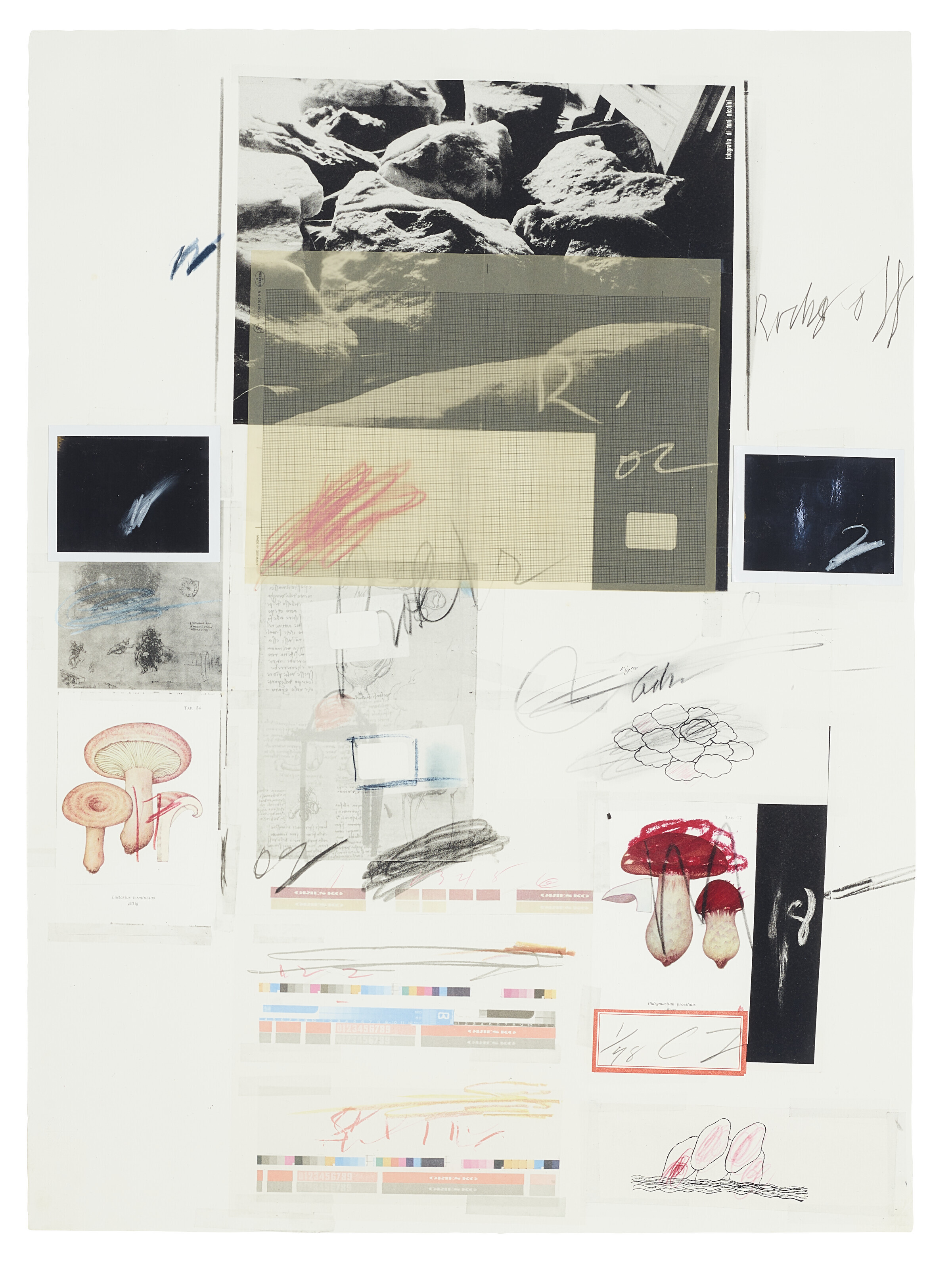 Cy Twombly — № X, из первой части "Естественной истории": Грибы