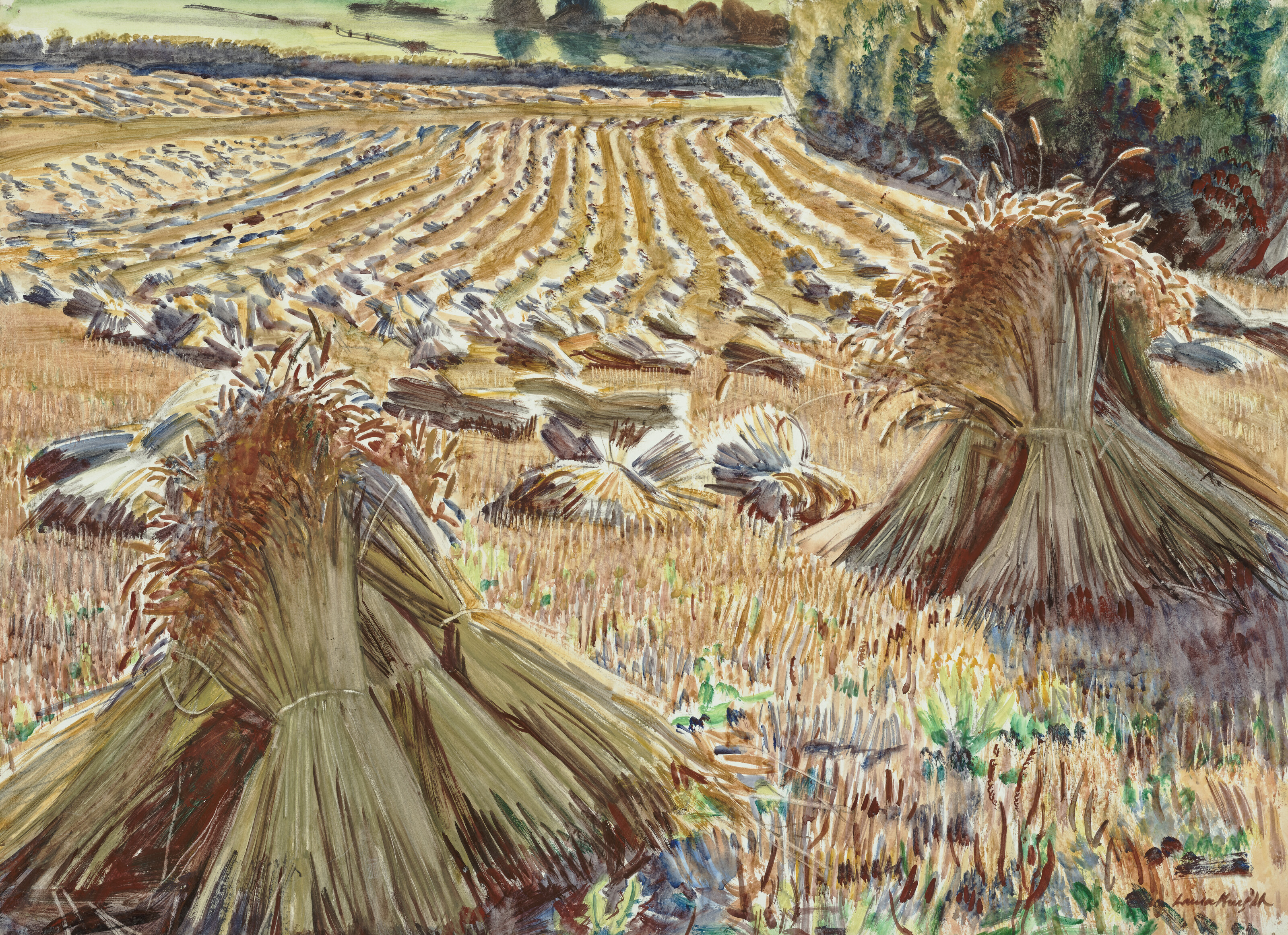 Dame Laura Knight — Вид на кукурузное поле: Колосья кукурузы, изображение 1