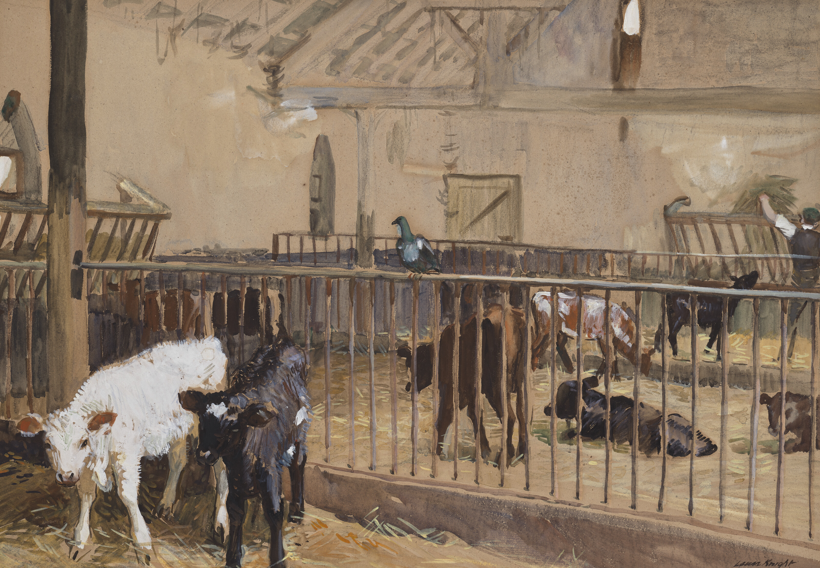 Dame Laura Knight — Телята в сарае в Уайресдейл-парке, Ланкашир