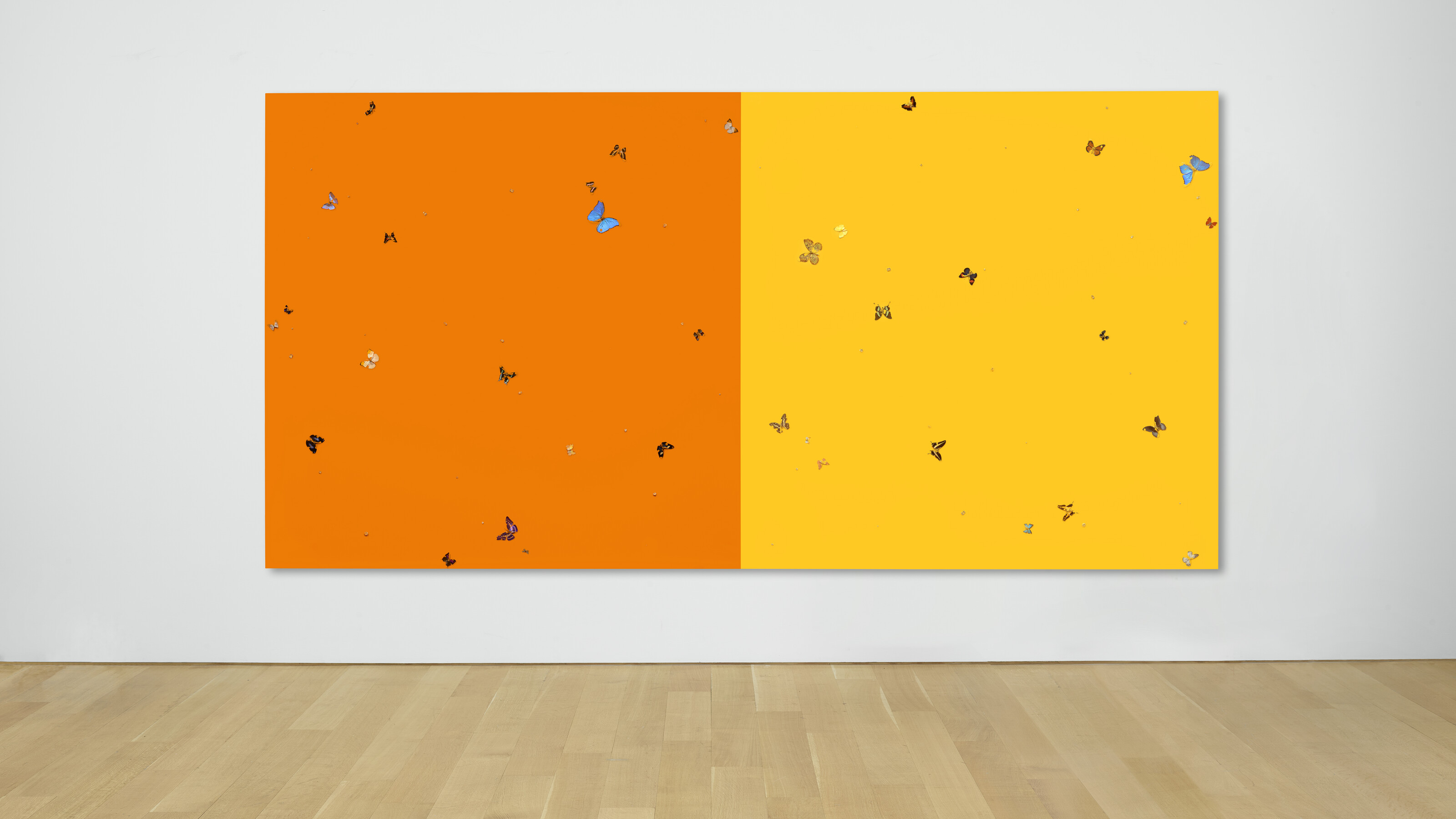 Damien Hirst — Апельсины и лимоны, изображение 2