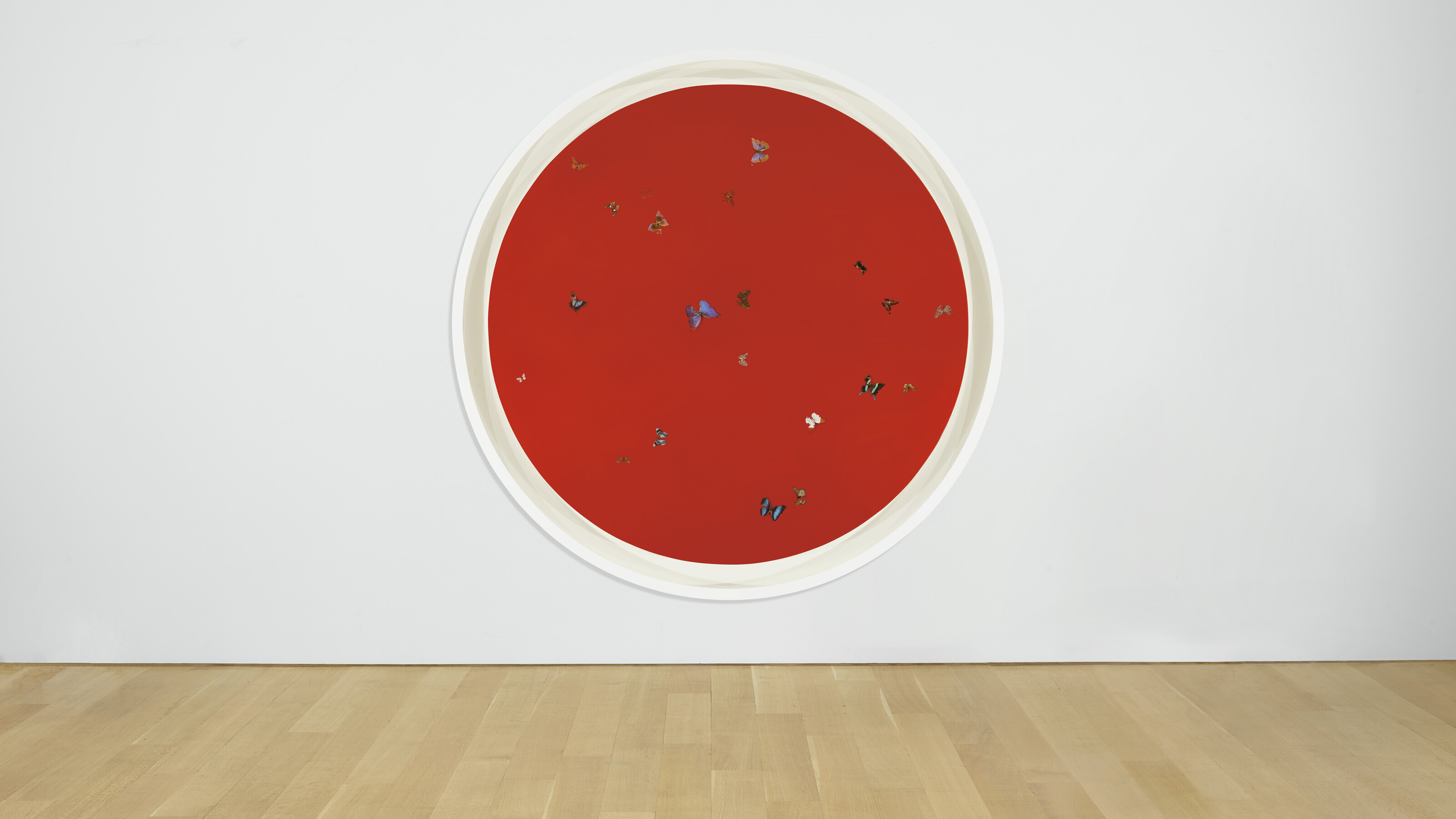 Damien Hirst — Любовь никогда Не умрет., изображение 3