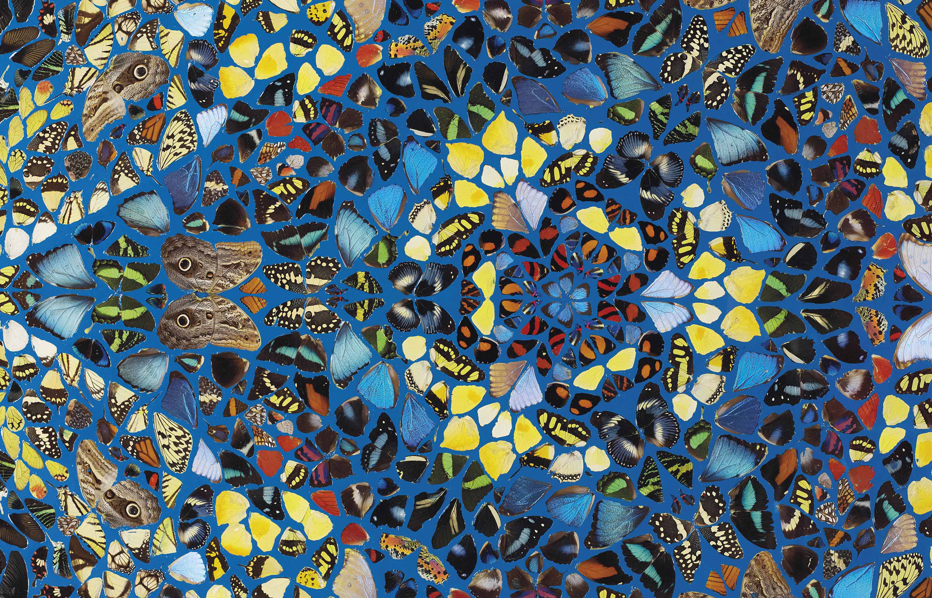 Damien Hirst — Спасение, изображение 2