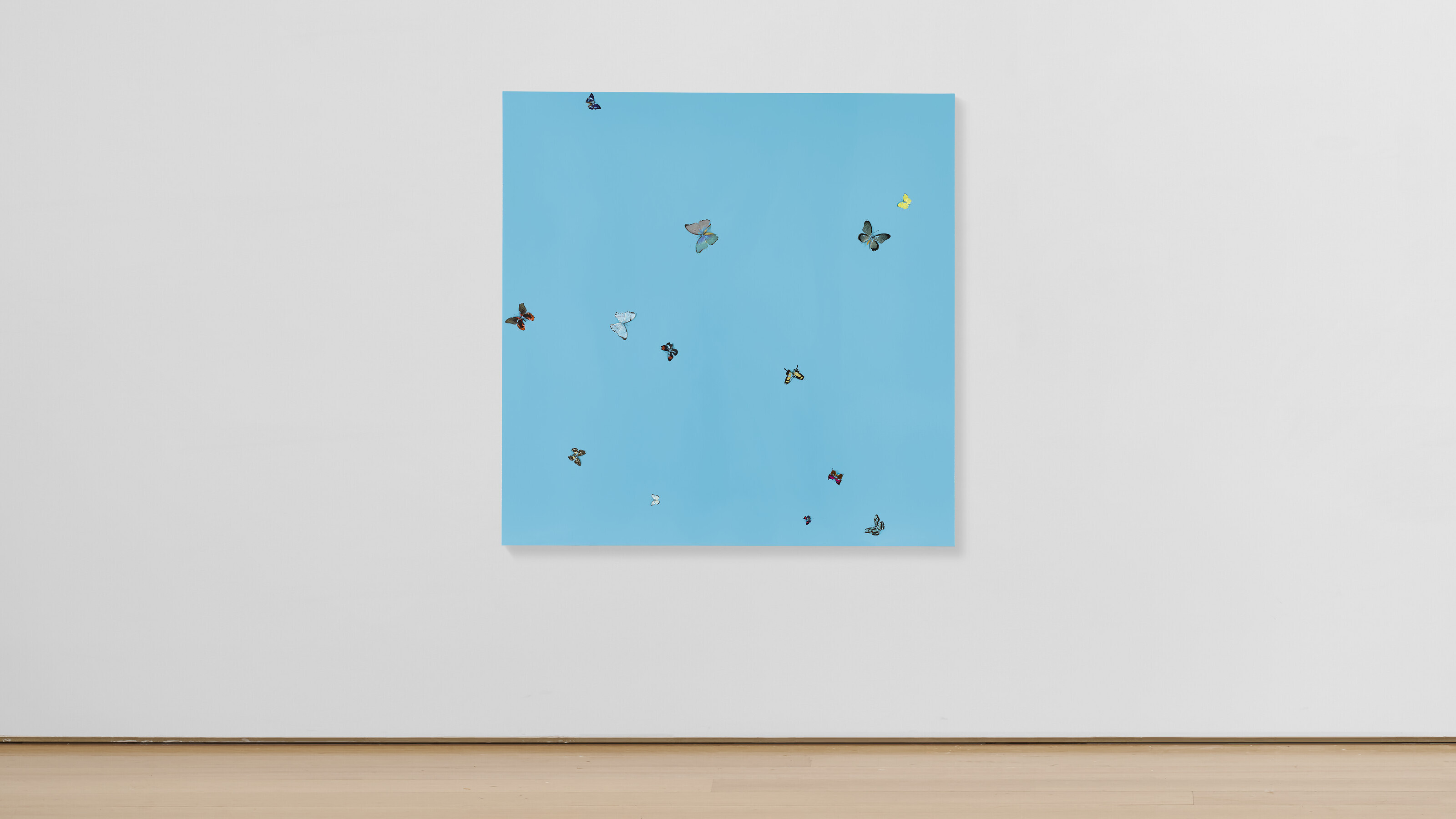 Damien Hirst — Чудесная неделя, изображение 2