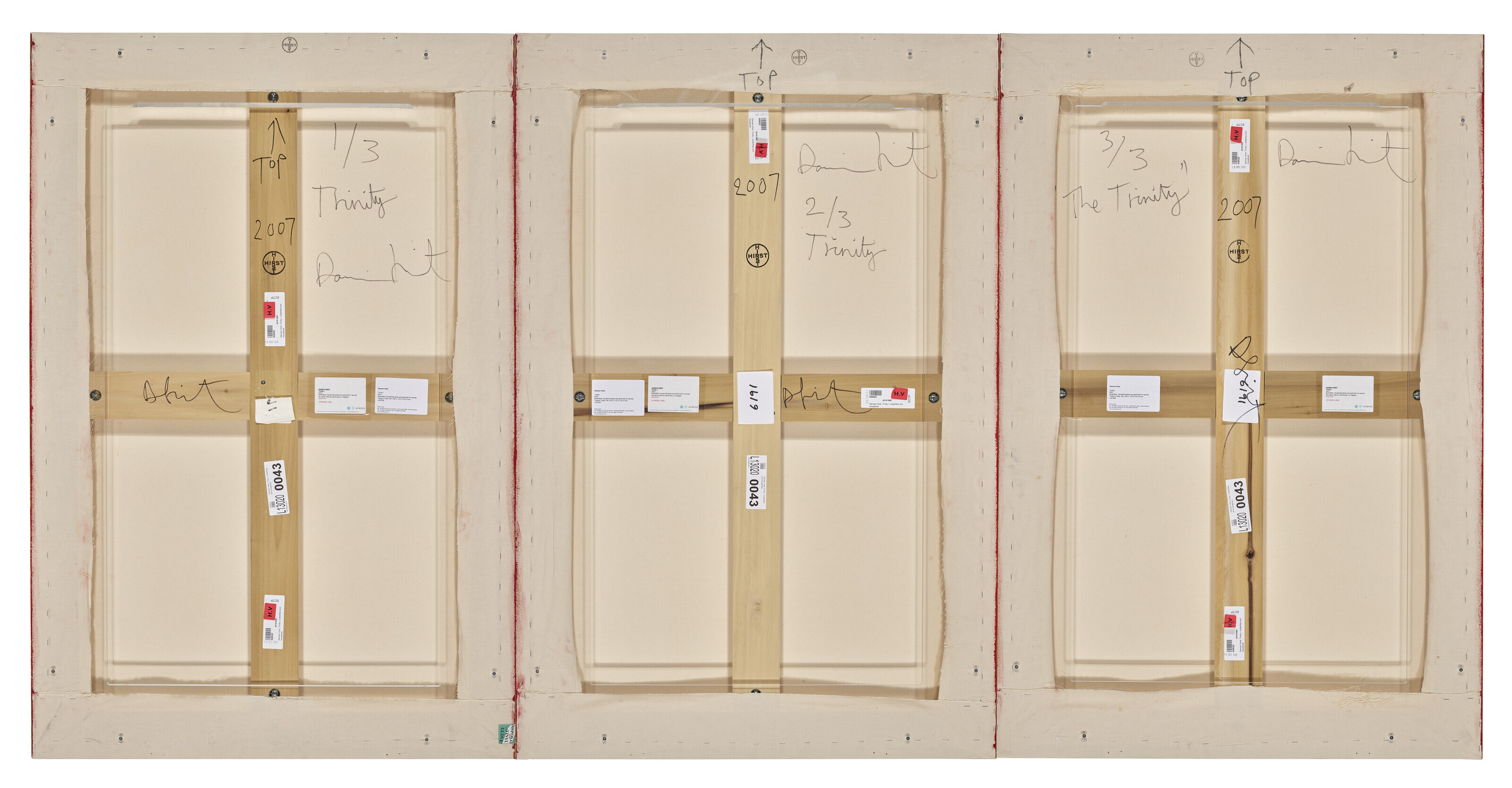 Damien Hirst — Троица I, изображение 2