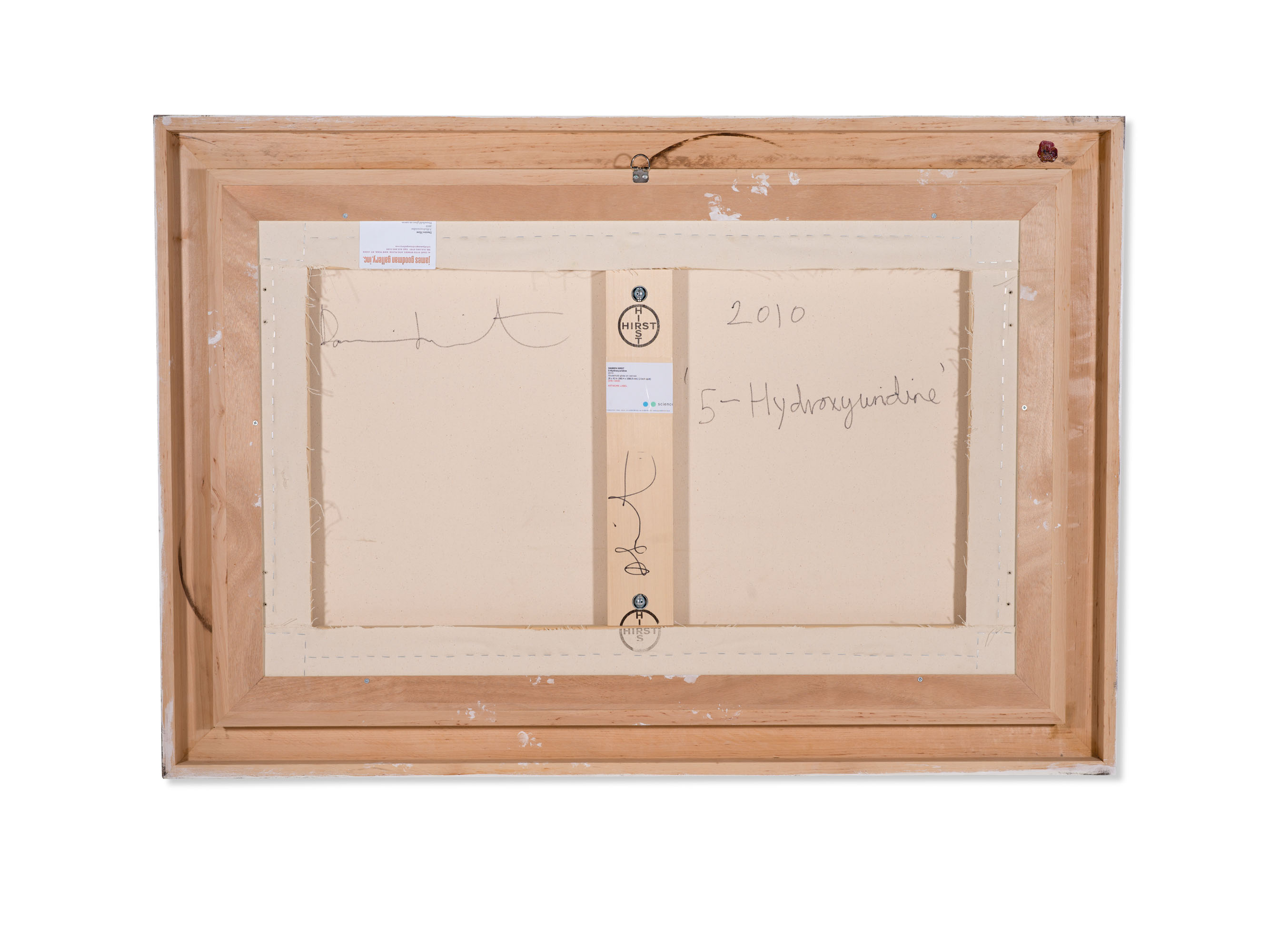 Damien Hirst — 5-Гидроксиуридин, изображение 3