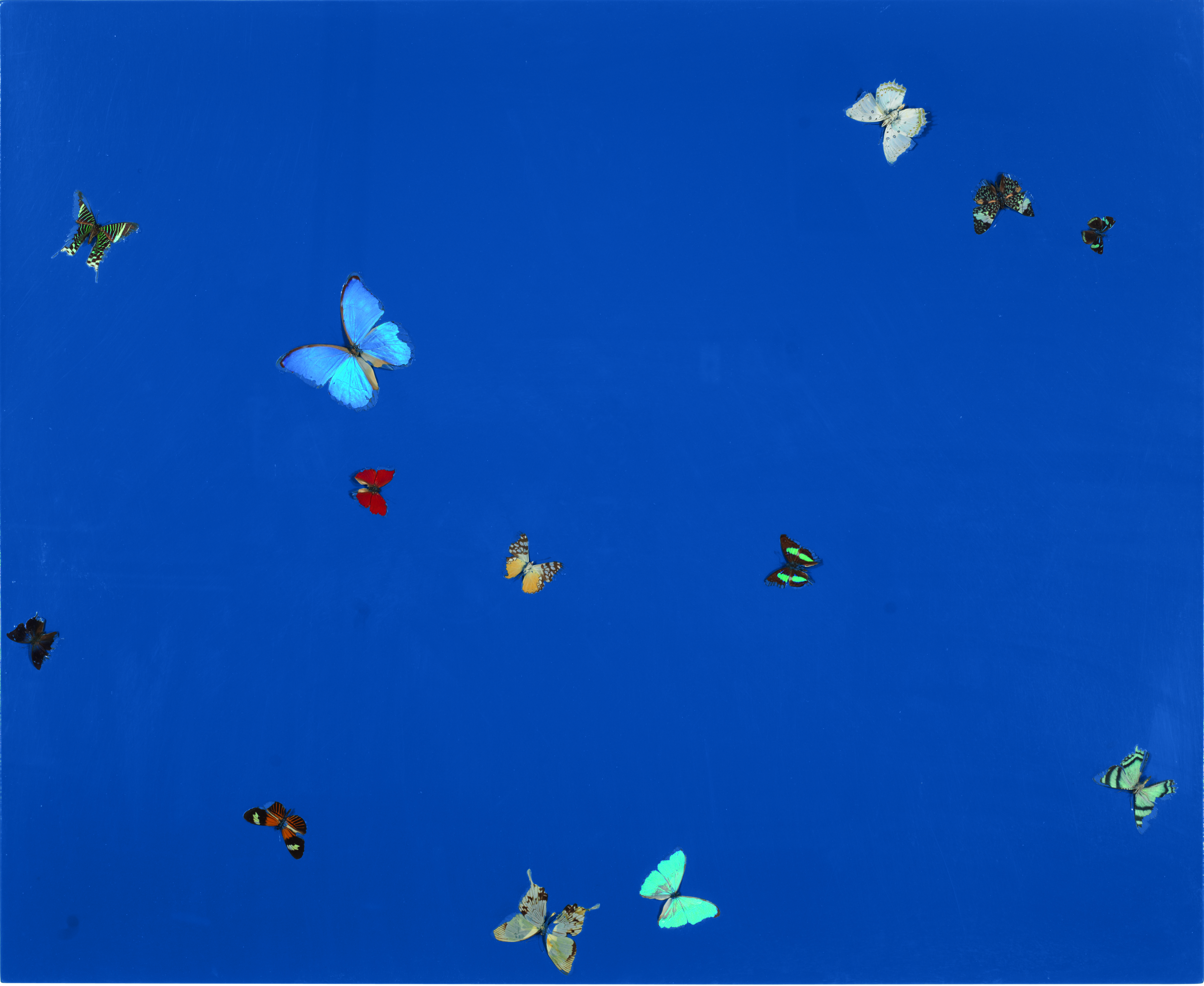 Damien Hirst — Вселенская любовь, изображение 1