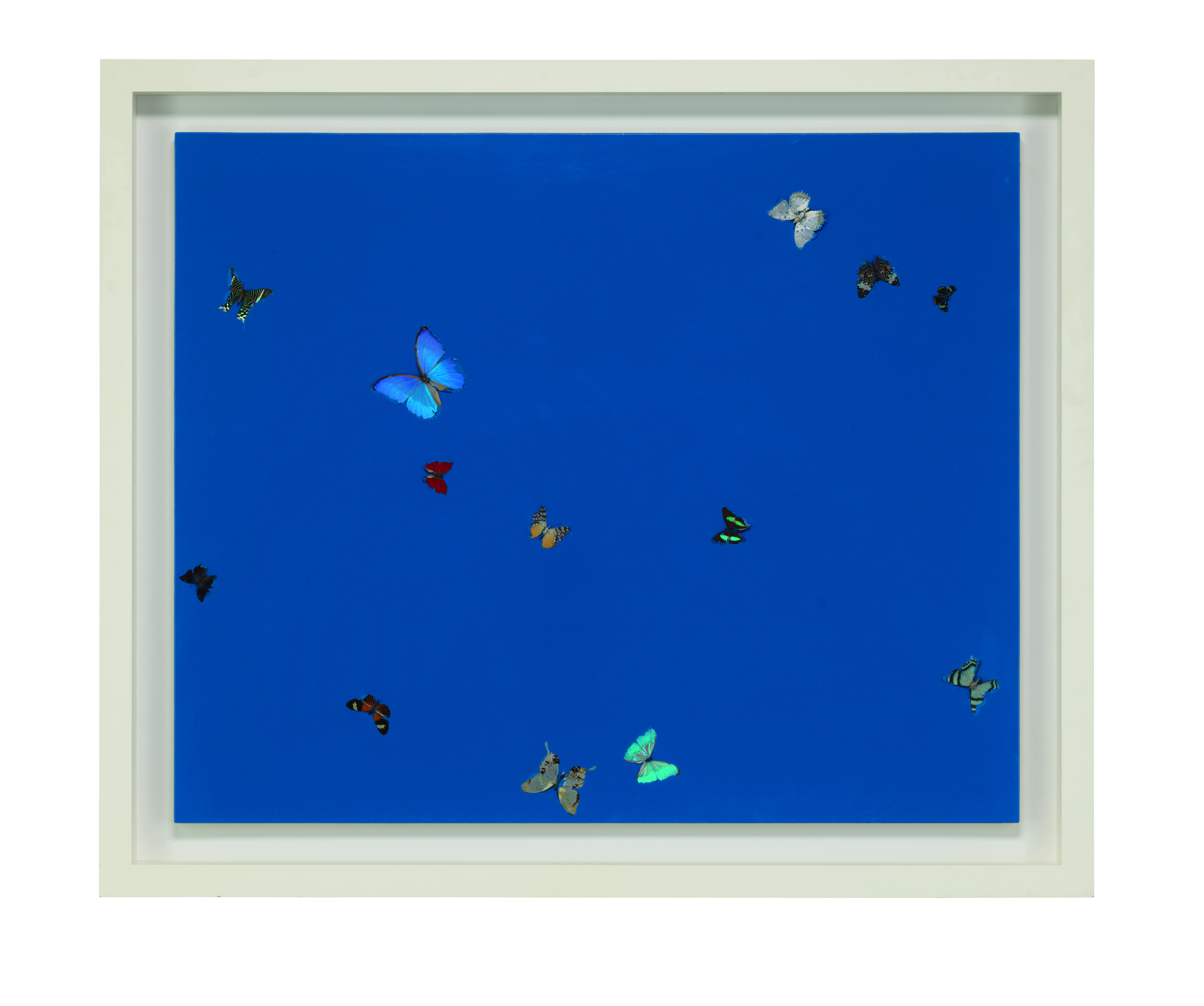 Damien Hirst — Вселенская любовь, изображение 2