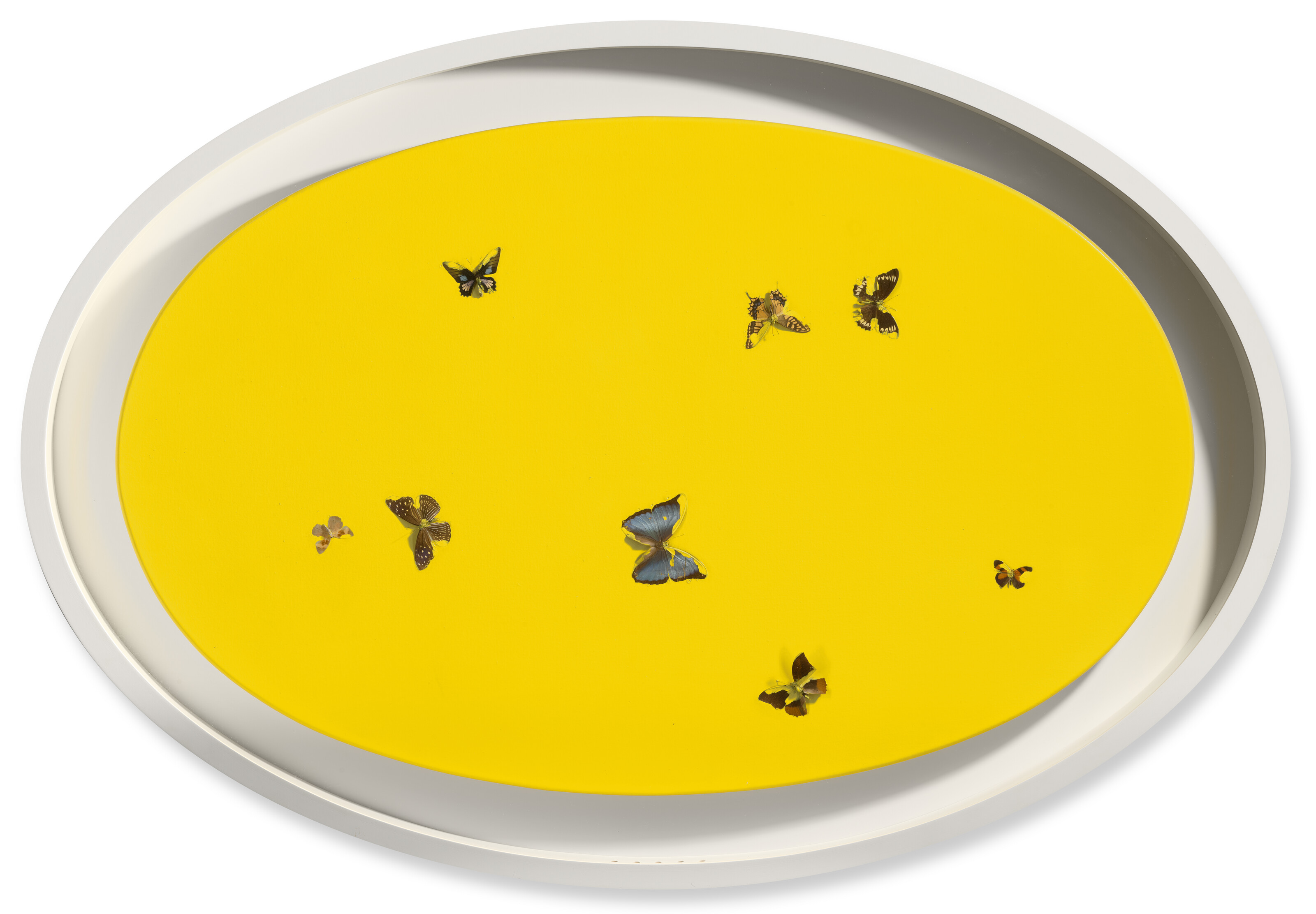 Damien Hirst — Без названия, изображение 3