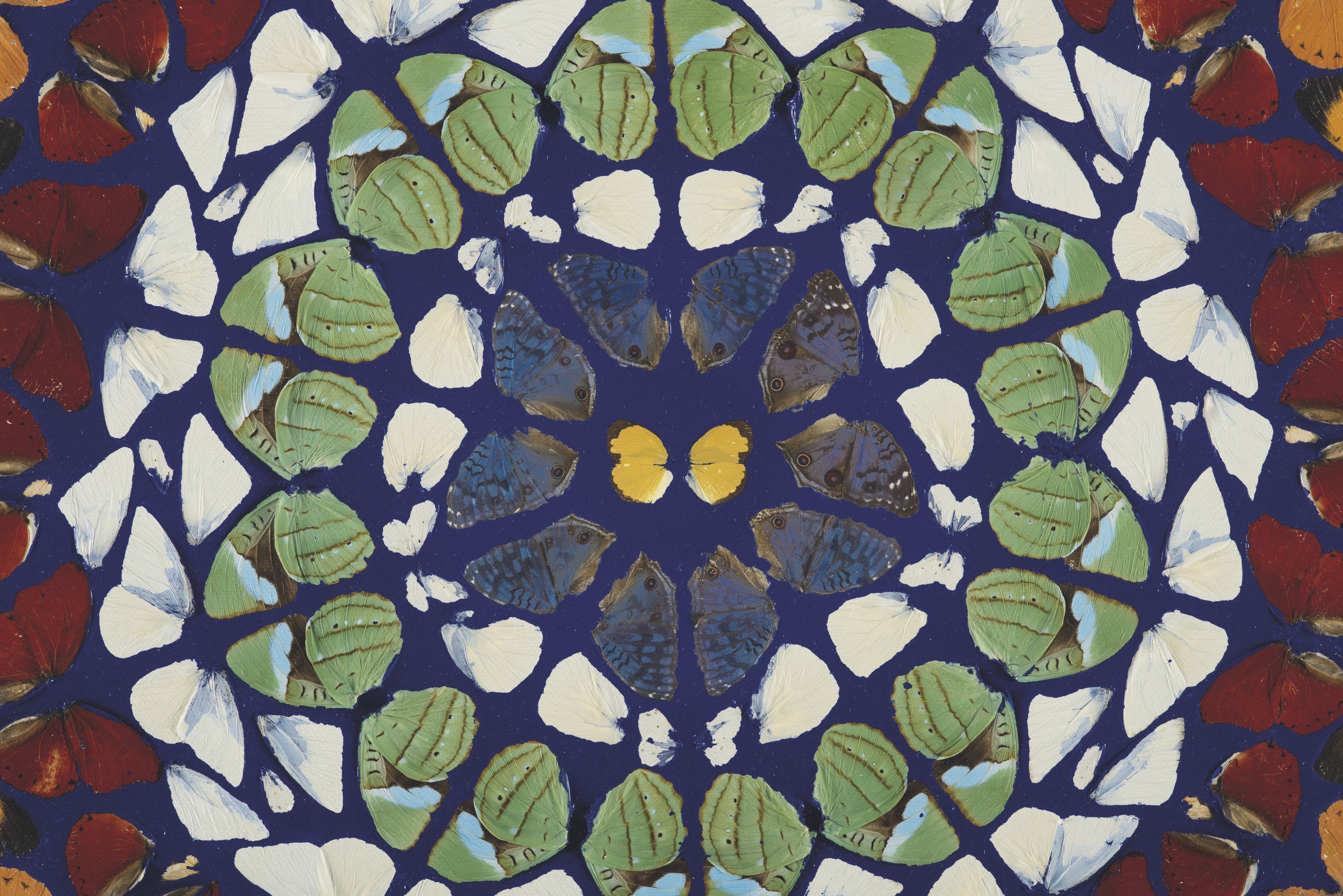 Damien Hirst — Псалом 2: Есть ли свободные роды?, изображение 2