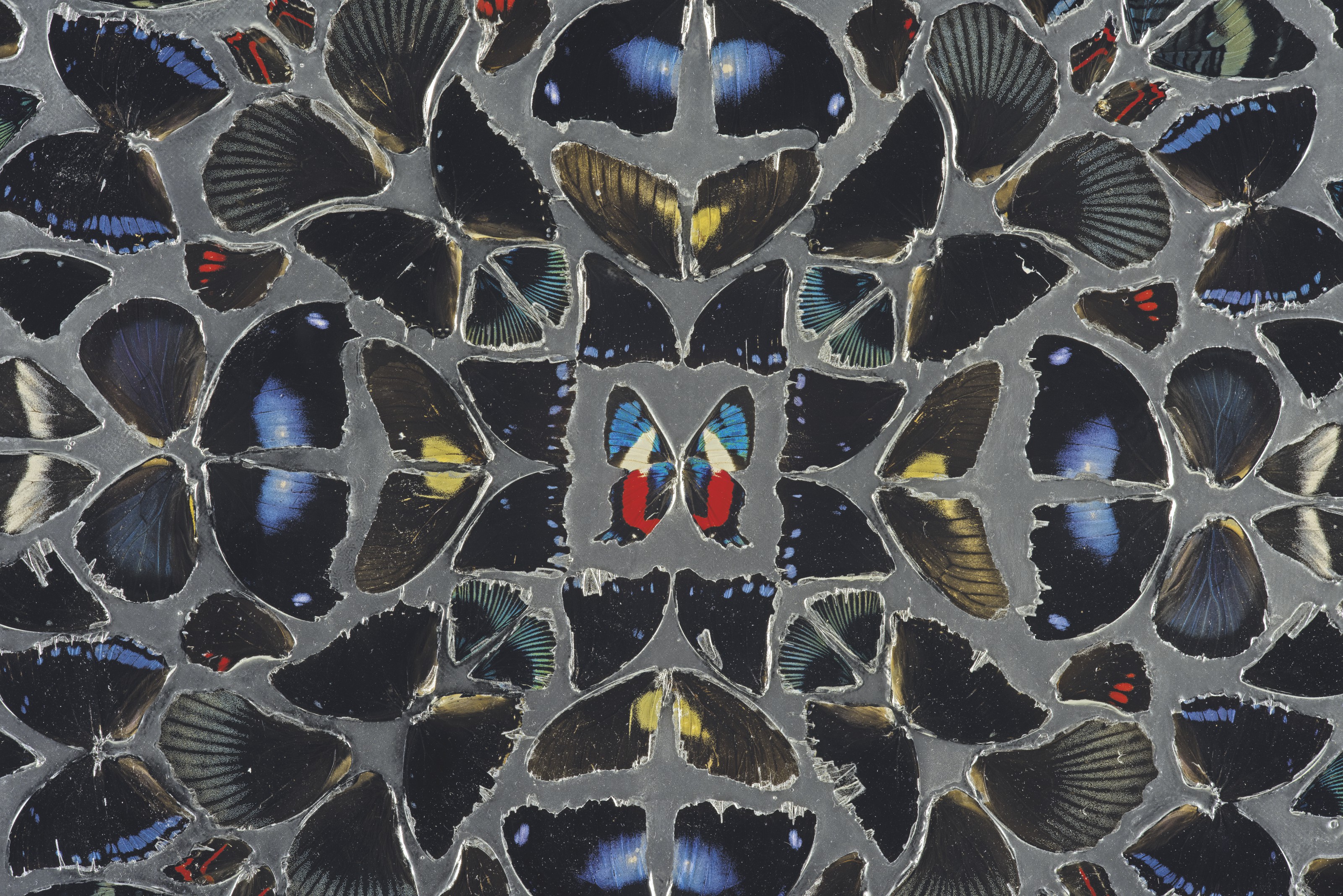 Damien Hirst — Псалом 141: Владычествуй, молись., изображение 2