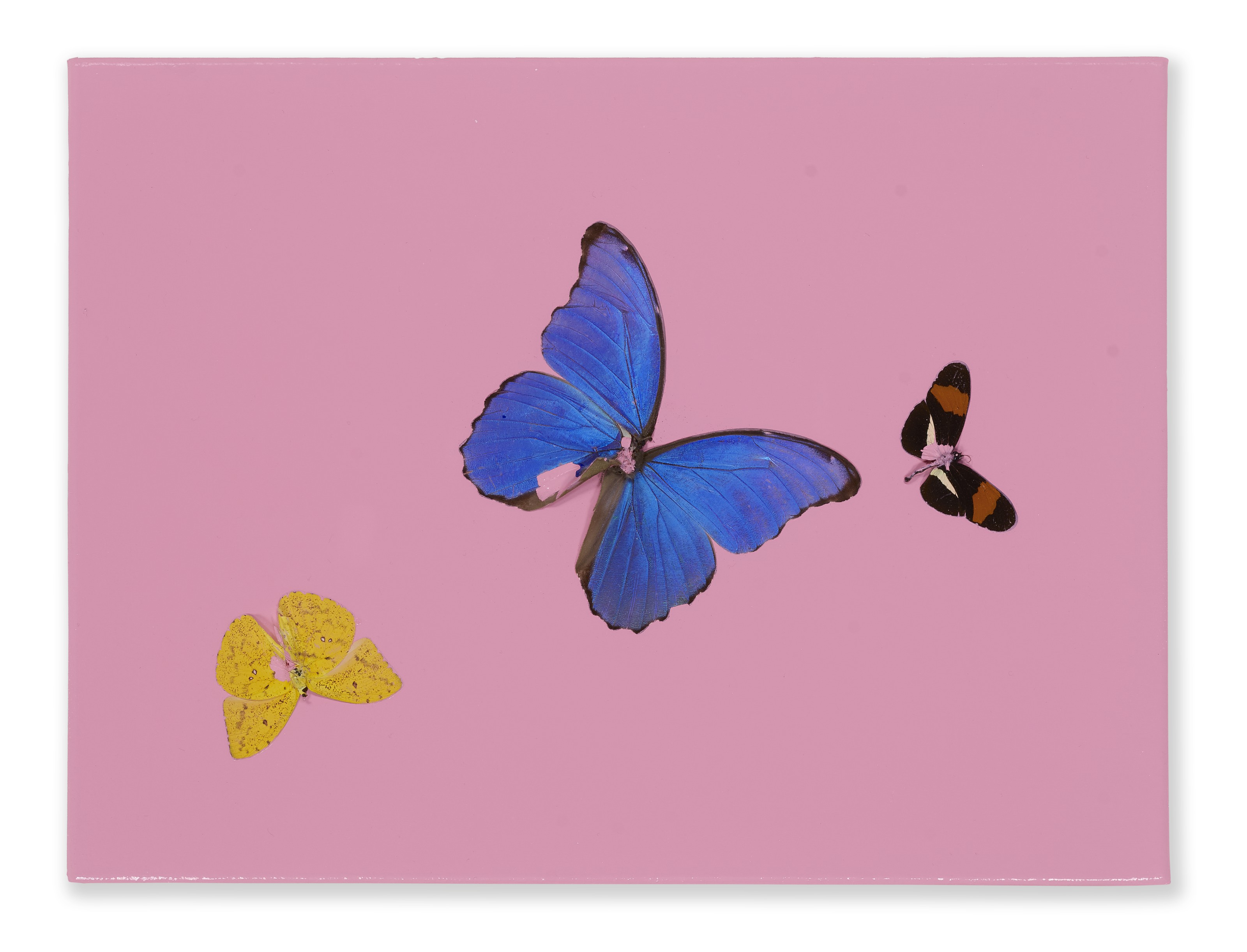 Damien Hirst — Игривый поцелуй с жевательной резинкой, изображение 1