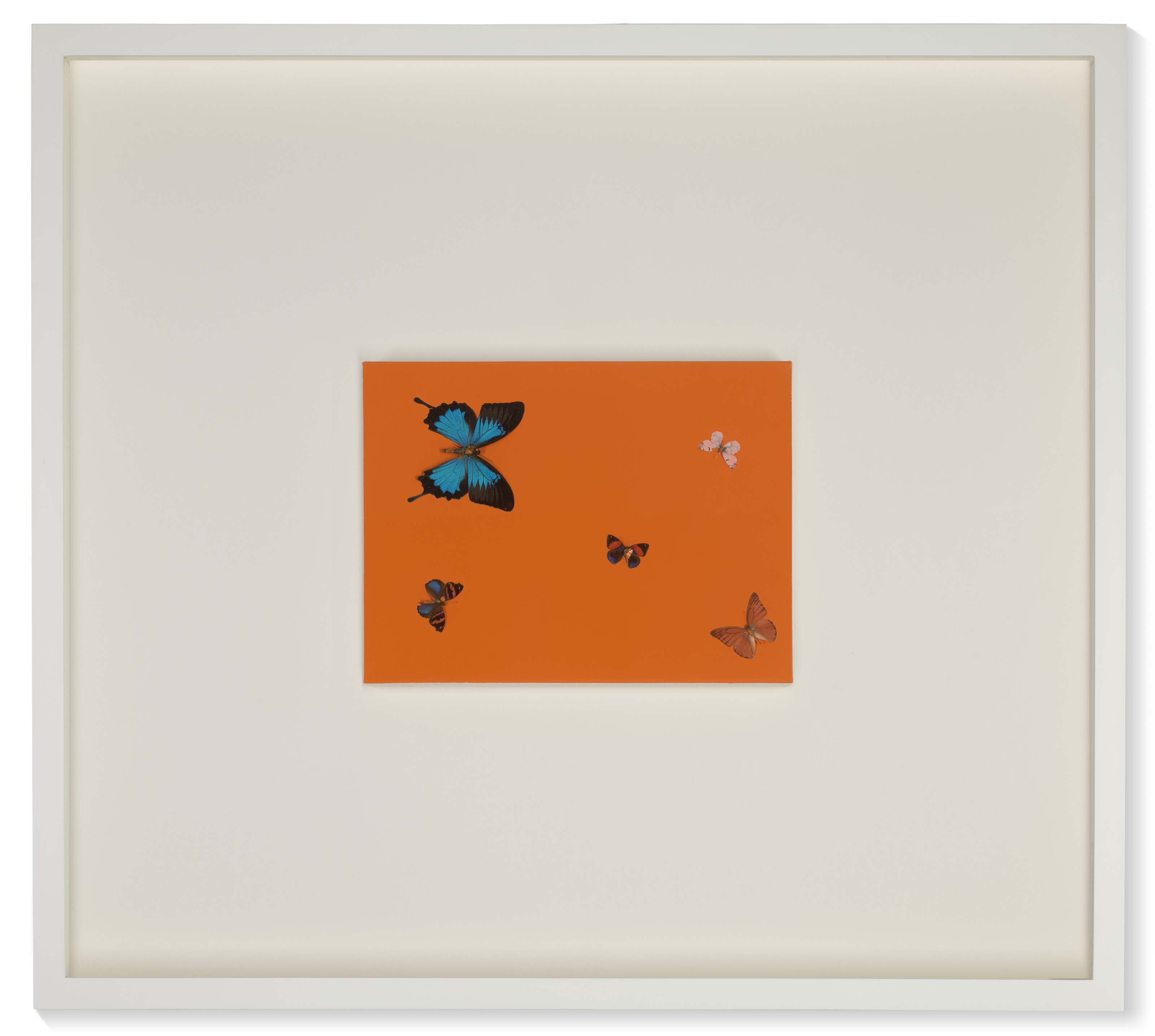 Damien Hirst — Острый Апельсиновый поцелуй, изображение 2