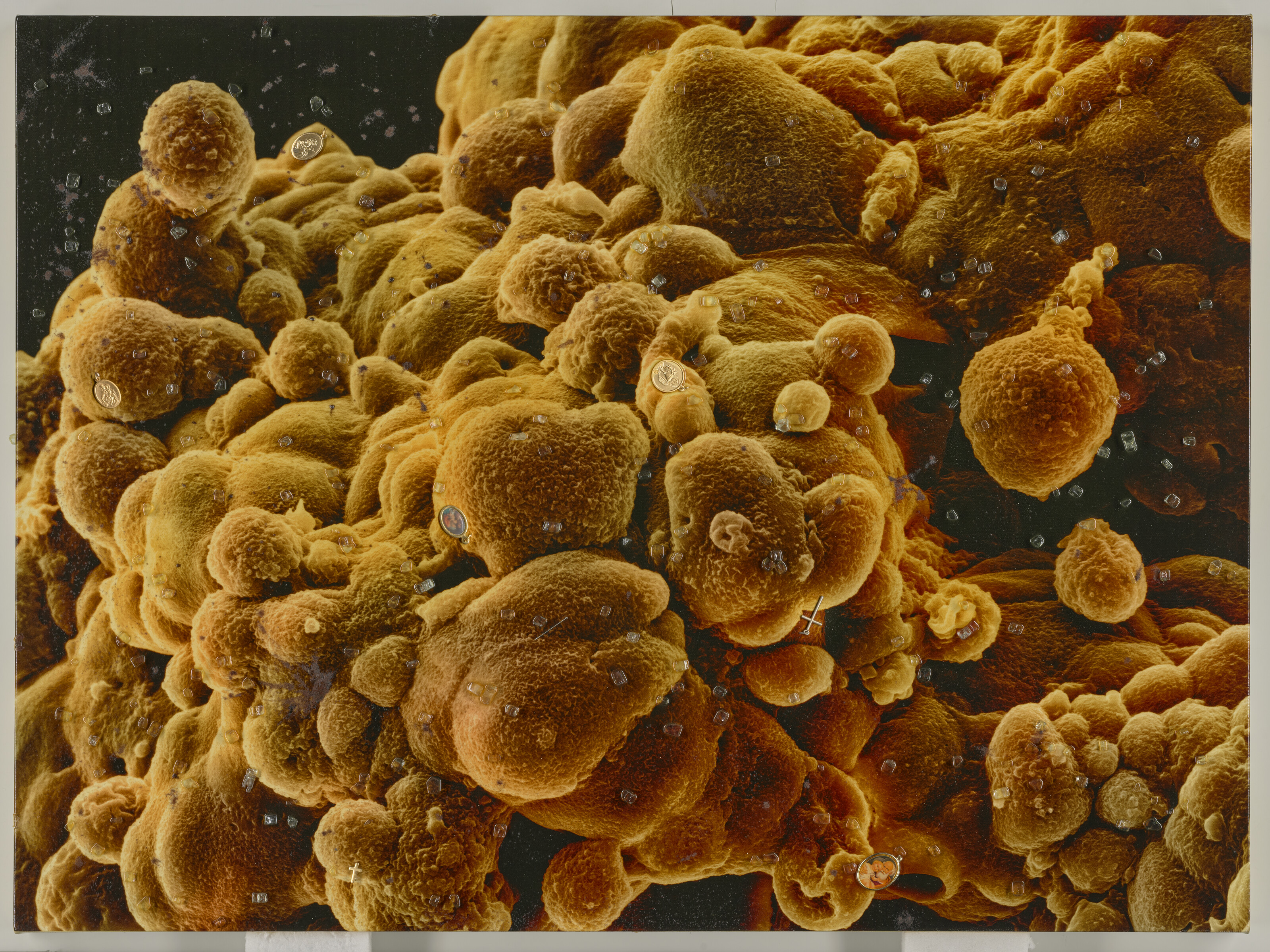Damien Hirst — Биопсия второй серии: M865/302, M865/303, изображение 2