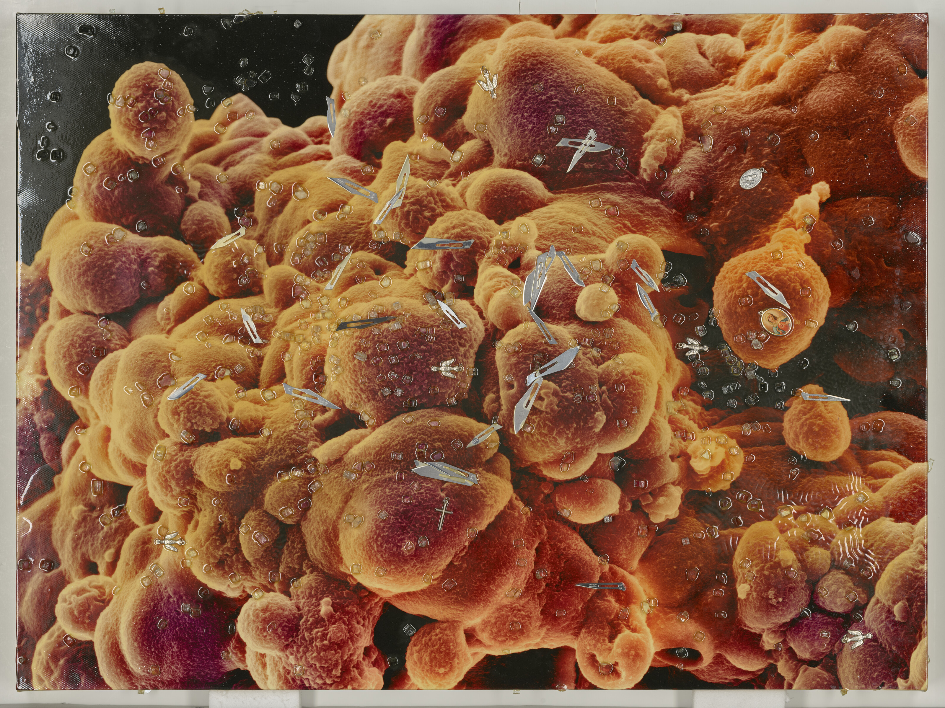 Damien Hirst — Биопсия второй серии: M865/302, M865/303, изображение 3